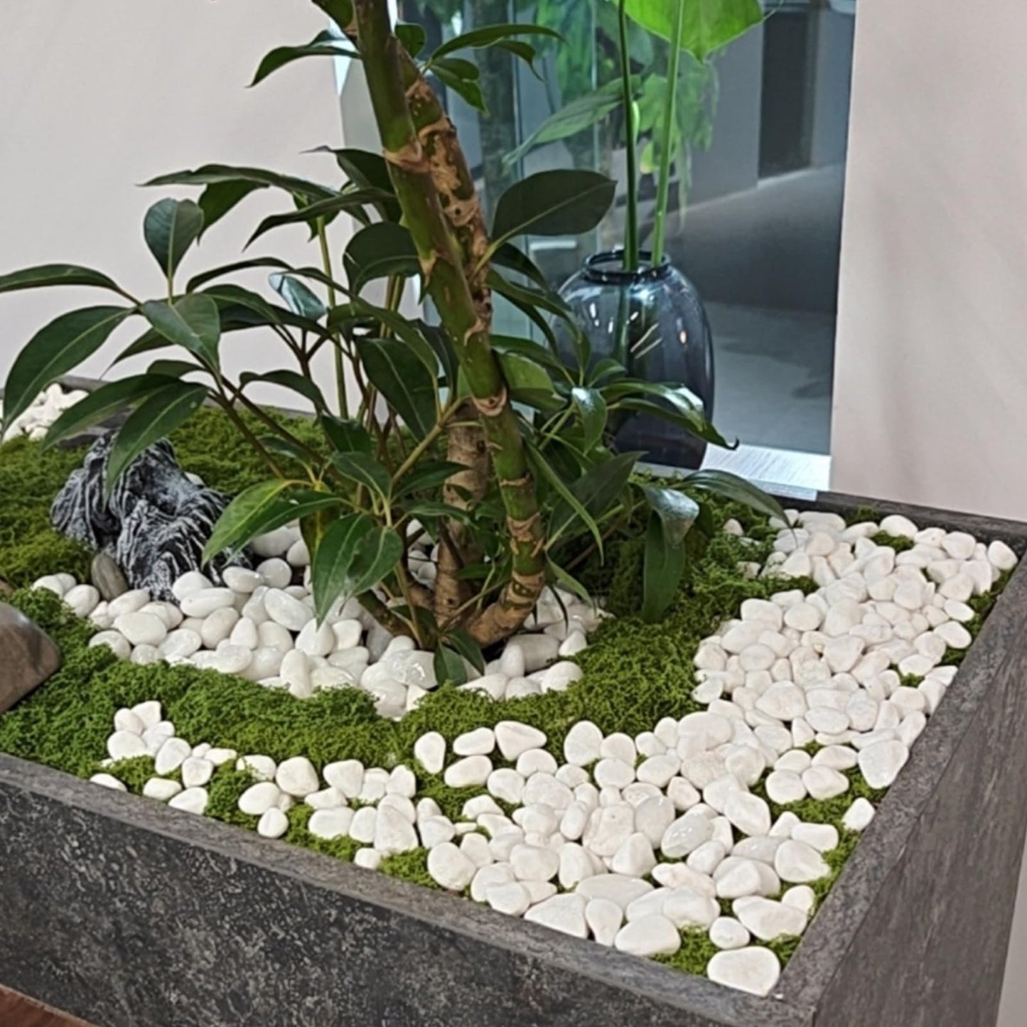 SHIZWU 40lbs White Rocks for Landscaping,2-3 Inch Decorative Pebbles for Plants,River Rocks for Backyard,Flower Beds, Indoor Fountains, Paths, Aquarium Vase,Outdoor Garden