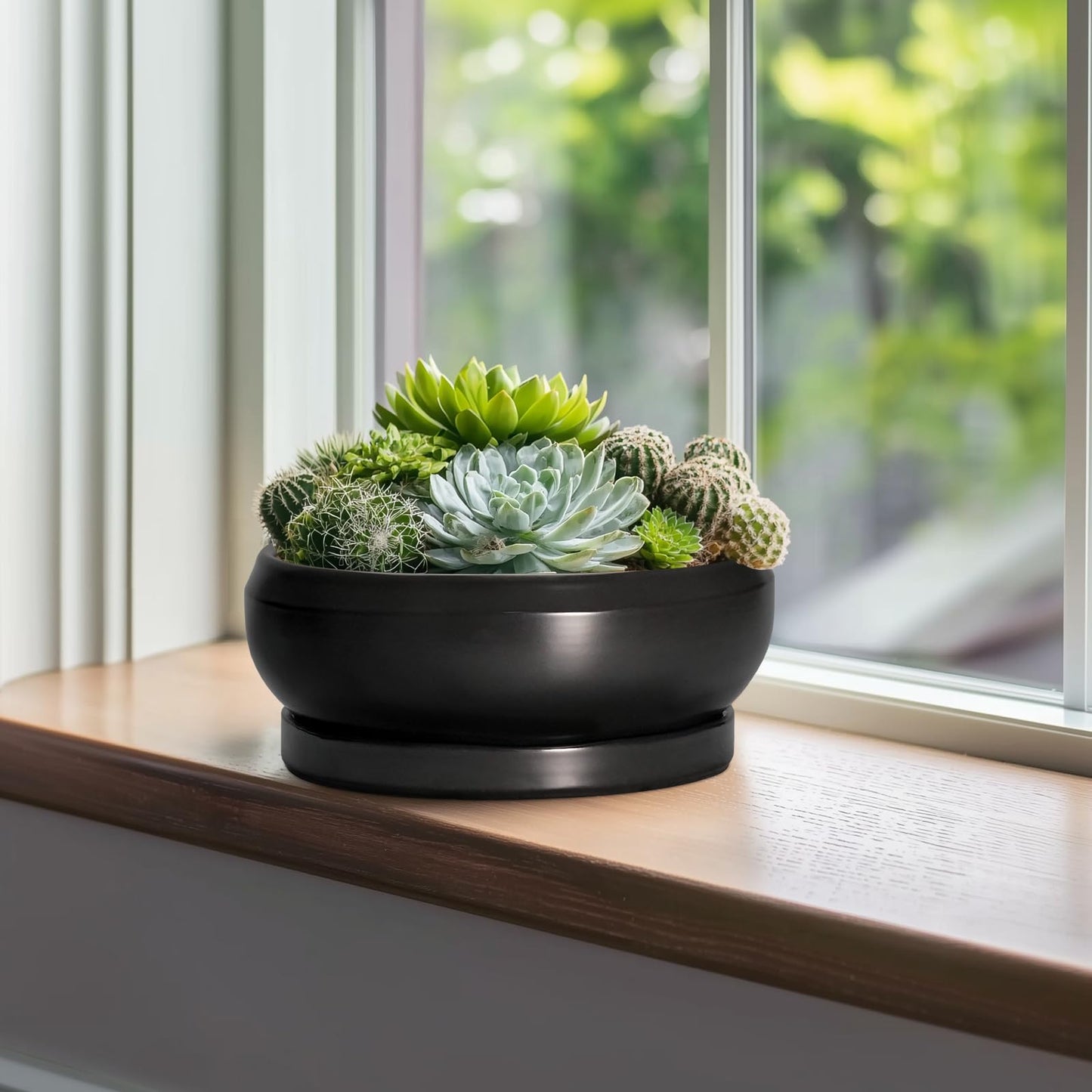 EPFamily Bonsai Pots 10 Inch - Ceramic Succulent Planters Indoor Outdoor, Bonsai Pots with Drainage Hole and Tray, Modern Shallow Planter, Round Bowl Planter, Garden Decor, Garden Gift, Black