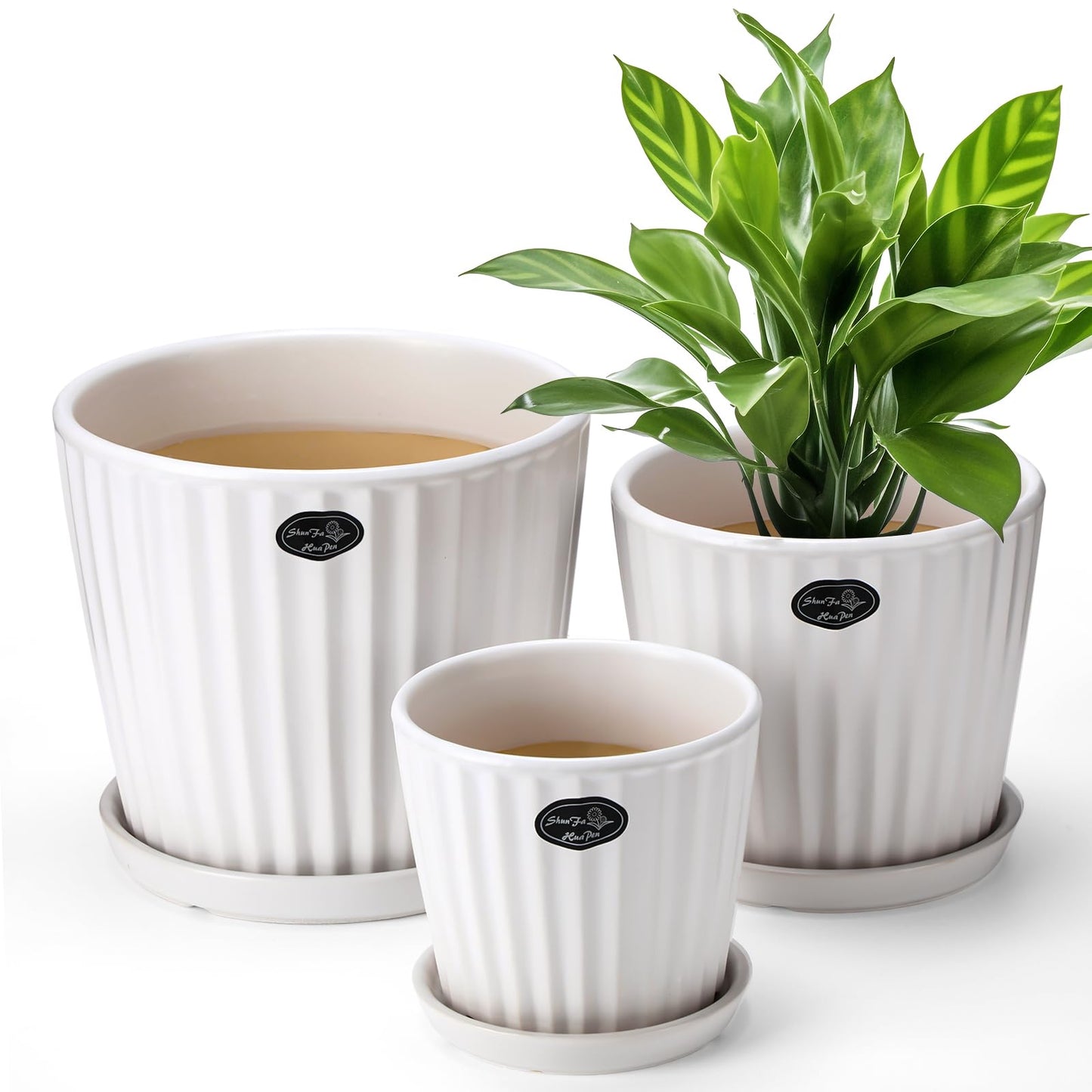Acellegic 3 Pcs Ceramic Plant Pots 7.3/6/4.7 Inch Ceramic Flower Pot with Drainage Hole and Saucer Decorative Planter Indoor Outdoor for Gardening Home Desktop Office Windowsill Decoration Gift(White)