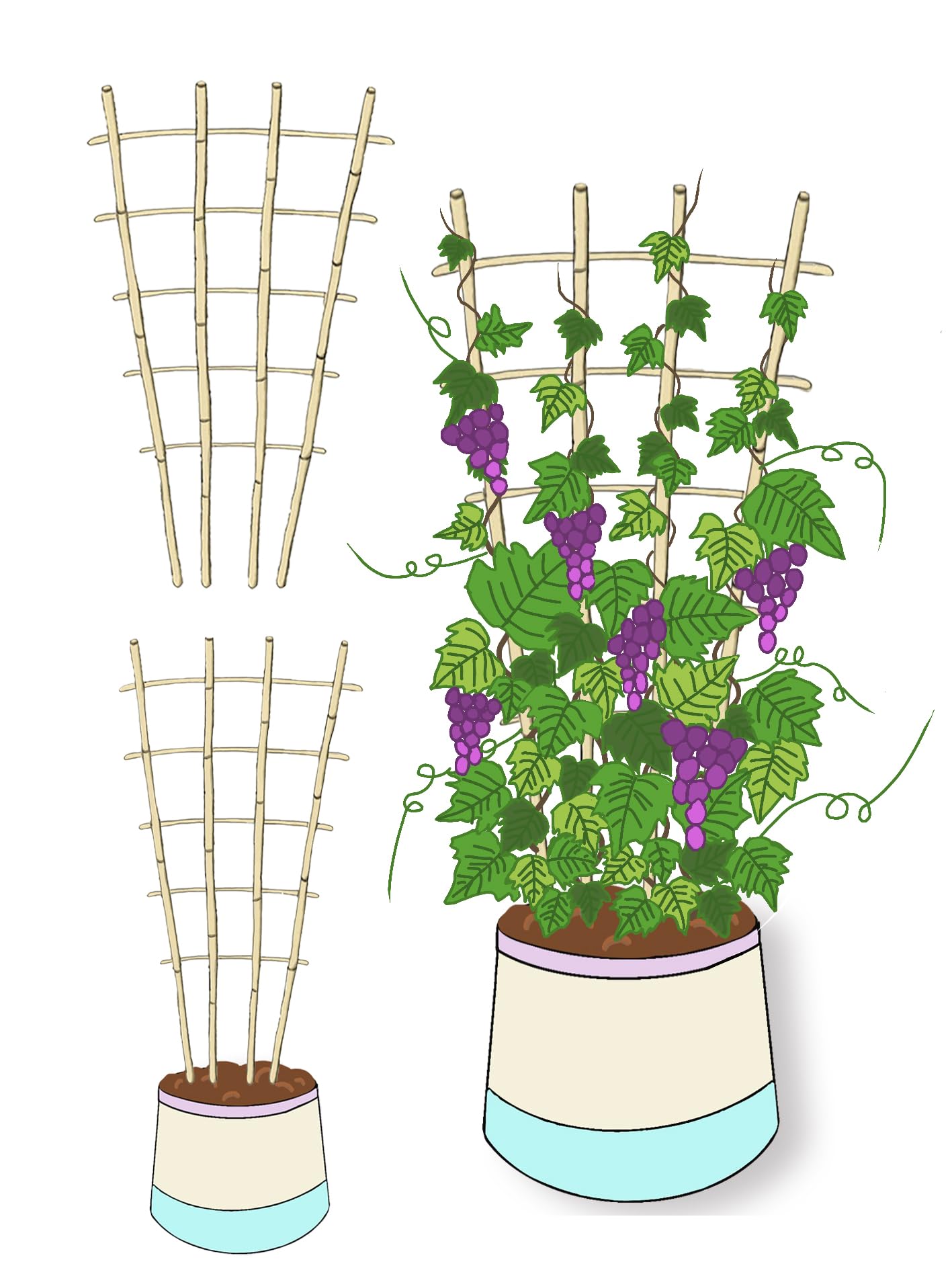 Natural Bamboo Trellis, 4.8Feet,3Pack,Fan-Shaped Plant Support Trellis for Outdoor and Indoor Potted Climbing Plants,Vegetables, Cucumber, Tomato, Hoya,