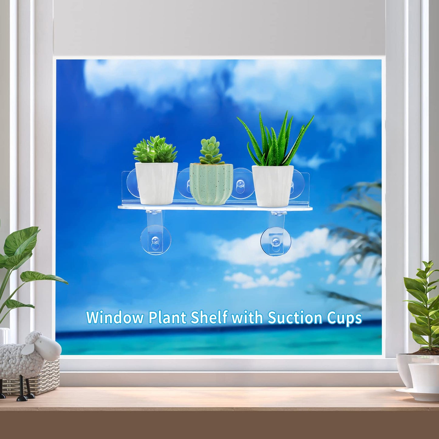 15 Inch Suction Cup Shelf for Plants Window, 6IN Extra Wide with Load-Bearing Brackets Window Shelf for Plants, Acrylic Sill Extender for Growing Herbs, Micro Vegetables, Succulents, Clear-1