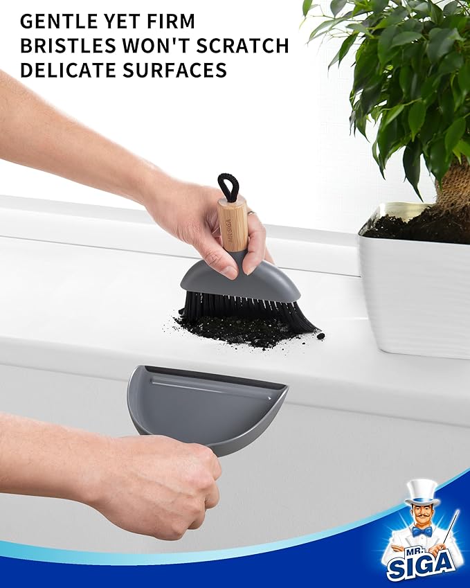 MR.SIGA Mini Dustpan and Brush Set, Portable Cleaning Brush and Dustpan Combo