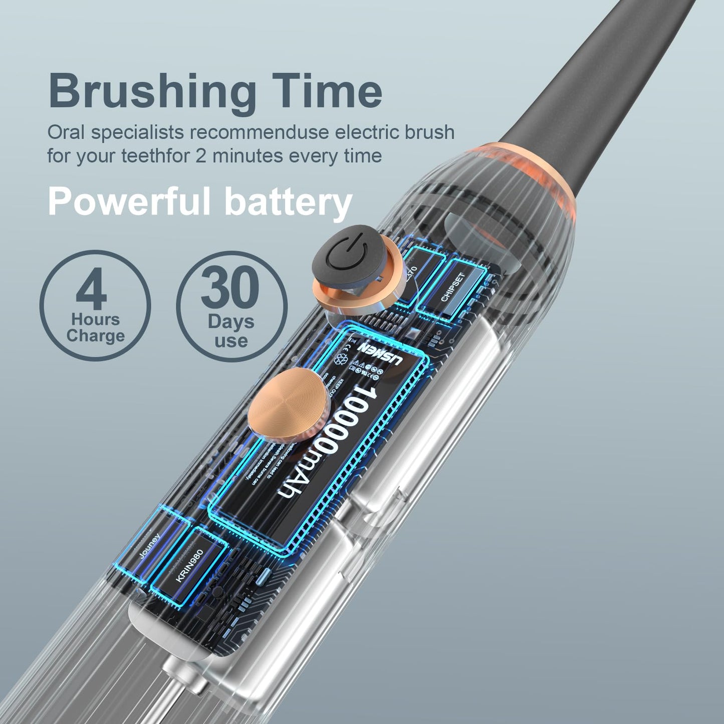 Electric Toothbrush Set with Drying & Sanitizing Holder, 8 Replacement Brush Heads, Transparent Rinse Cup, Smart Timer, USB Rechargeable for Adults