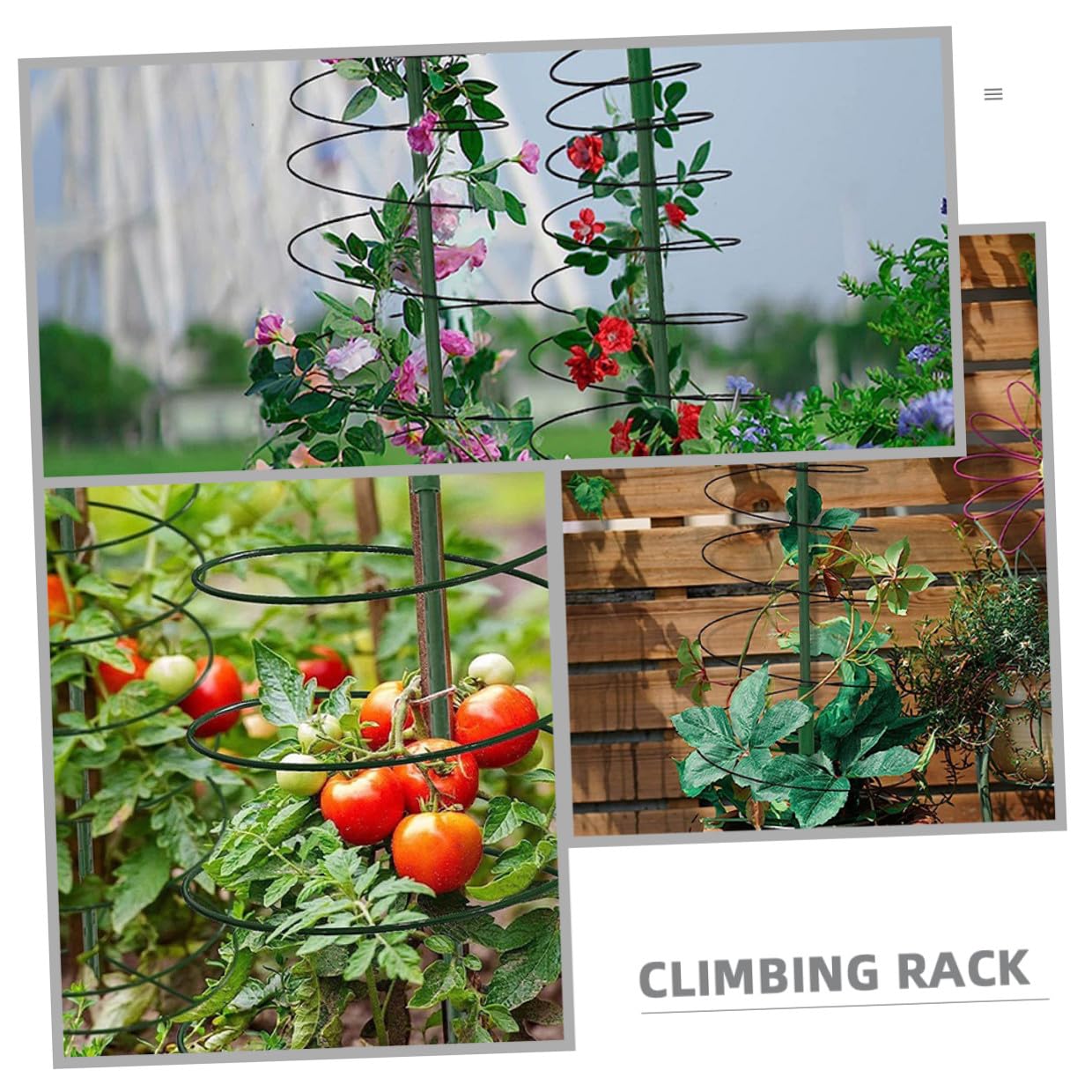 SUPVOX Indoor Plant Trellis Climbing Trellis for Potted Plants Garden Climbing Stand for Indoor and Outdoor Vines