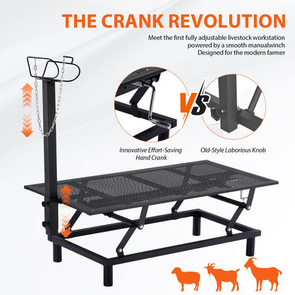 GTPLAYER Goat Milking Stand with Hand Crank,Wheels – 48"x23" Adjustable Headpiece & Height, for Grooming, Milking, Hoof Trimming, Heavy Duty Metal Sheep/Goat Stand, 500 LB Capacity Dark-Black