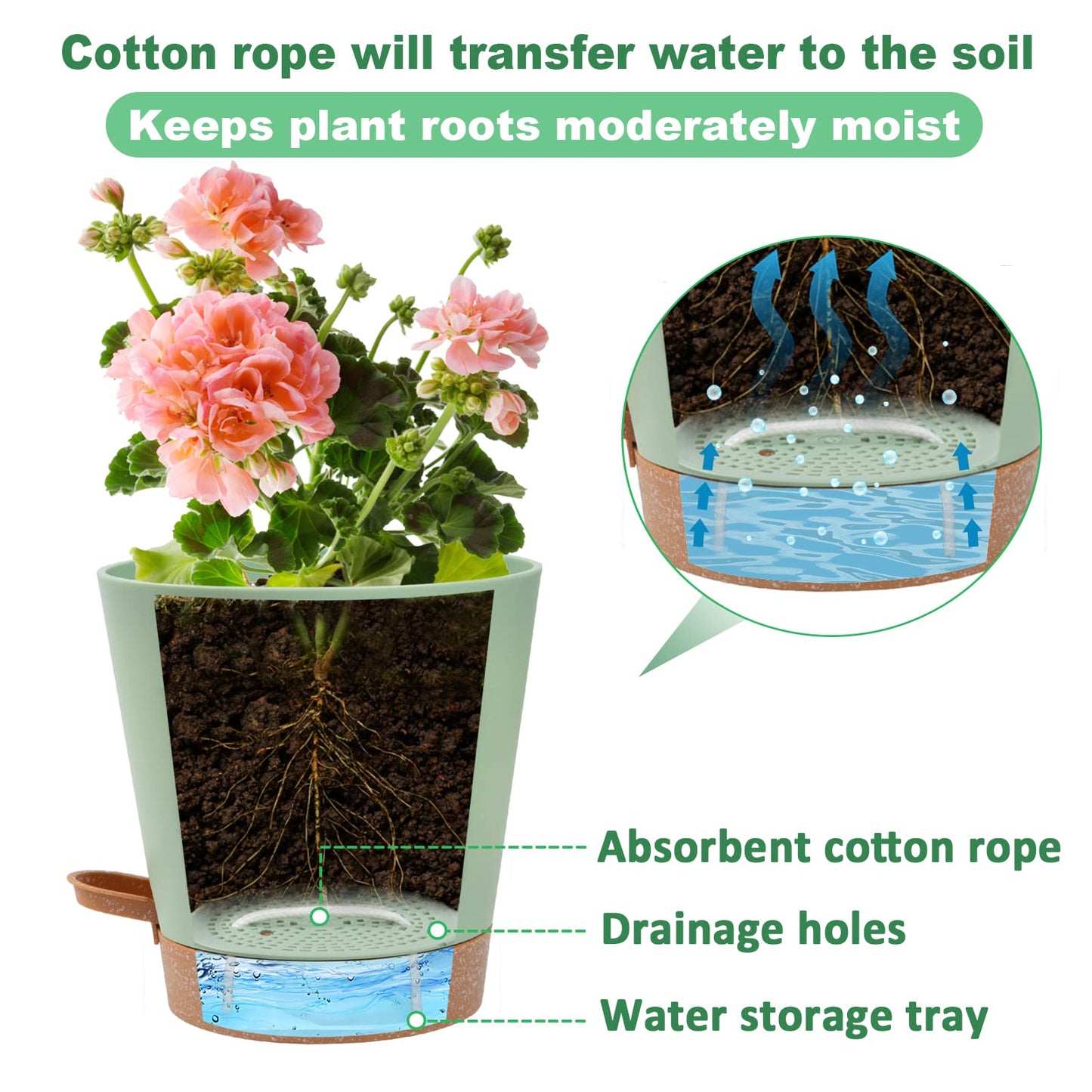 Aulock 6in Self Watering Pots for Indoor Plants - 3pcs Bottom Watering African Violet Planters with Drainage, Plastic Houseplant Flower Pots for Snake Plant Succulent Garden Live Plants