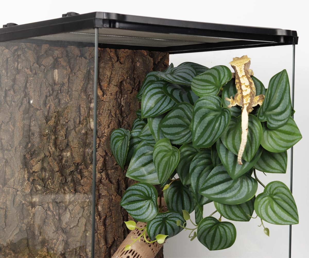 WOLEDOE Reptile Plants for Terrarium, Amphibian Habitat Decor Artificial Hanging Plants with Suction Cup - Fake Calathea Orbifolia
