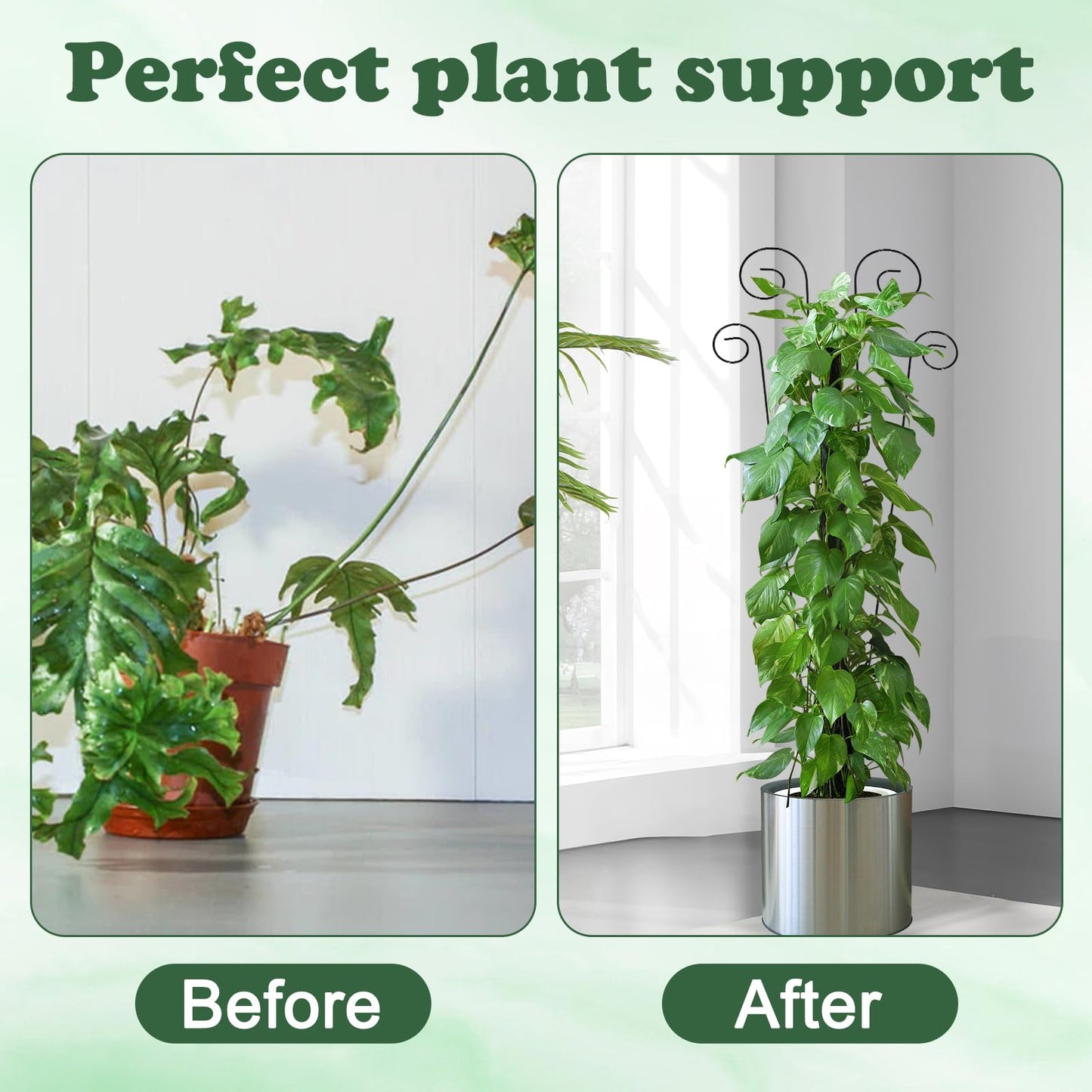 4 Pack Metal Trellis for Climbing Potted Plants Indoor Outdoor - 30 Inch Rustproof Garden Stakes, Plant Support for Monstera Pothos Ivy Hoya Vines, Potted Houseplant