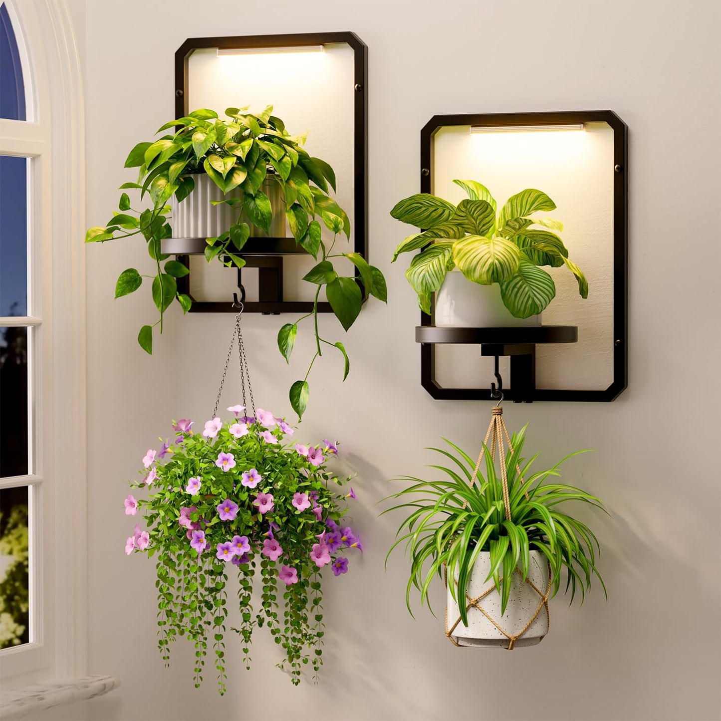 LASZOLA Plant Hangers Holder Wall Mount Indoor Window with 2 Grow Light, 2 Pack Floating Flower Stand Shelf with Hooks, Metal Picture Frame Hanging Planter Display Decor for Kitchen Bathroom, Black