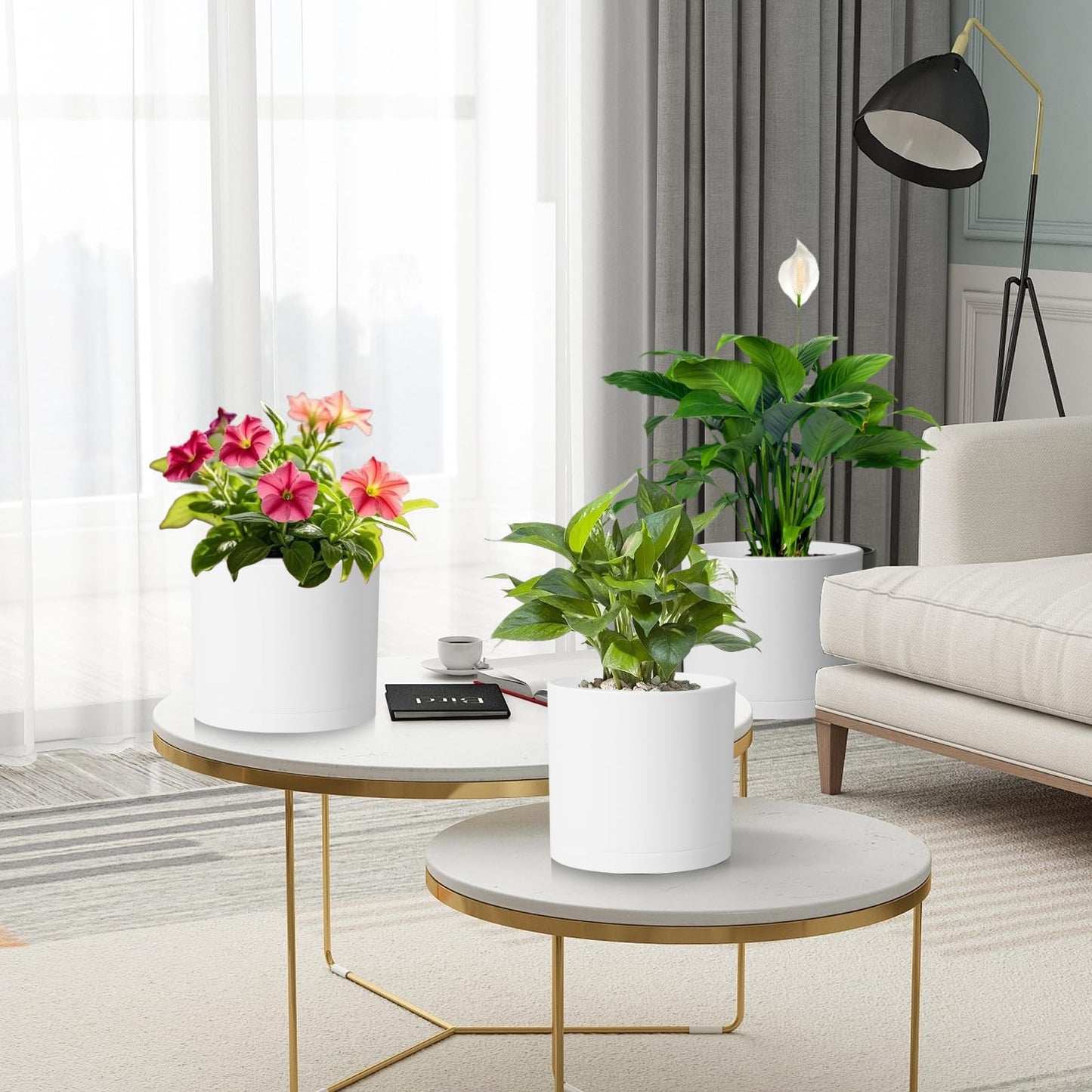 DGJDLWHX Large Plant Pots Set of 3 – 8", 9", 10" Indoor Flower Pots with Drainage Holes and Saucers, Big Planters for Monstera, Fiddle Leaf Fig, Snake Plant – 5 Colors