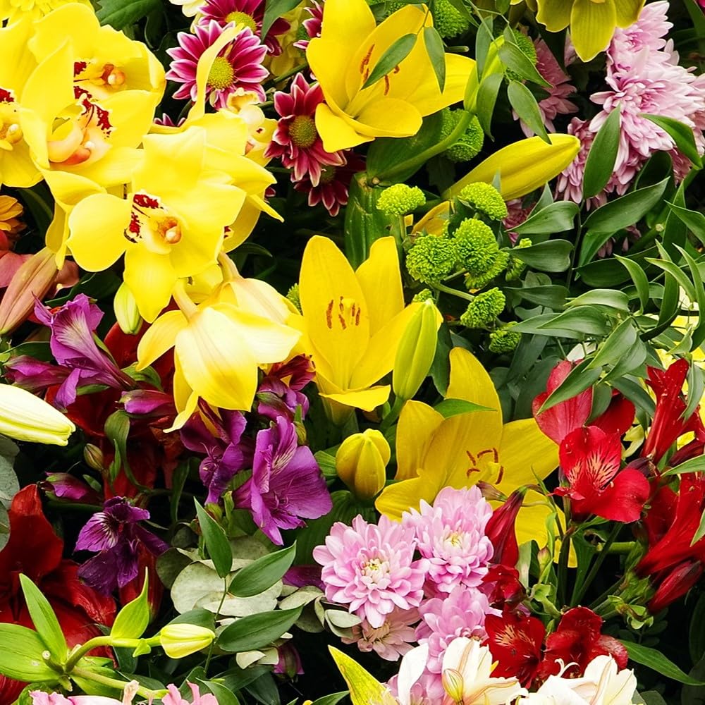Amazing Deal - Complete Spring & Summer 100 Bulbs - Garden Party Flower Bulb Collection - Beautiful Sun Loving Flowers with Large Corolful Blooms - Variety Colors - Butterflies, Bees & Hummingbirds