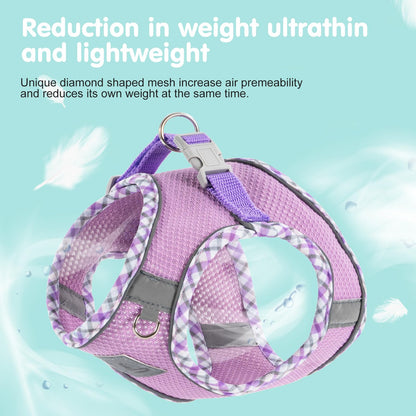 TomteNisse Dog Harness and Leash Set - No Pull Soft Breathable Small Dog Harness, Adjustable Reflective Step in Vest for Puppy, Kitten, Cats