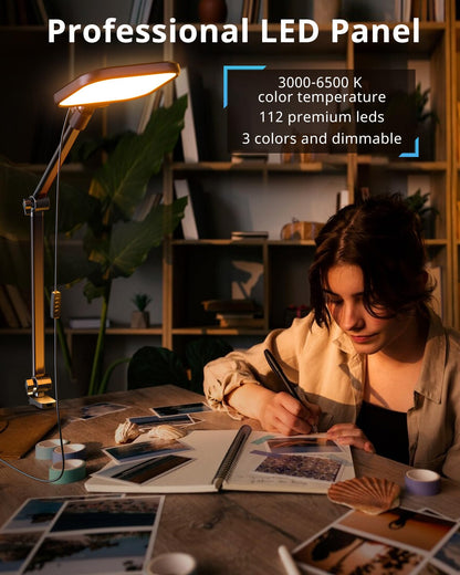 UBeesize Streaming Light, 8" Ring Light for Desk with Clamp and Adjustable Arm, Zoom Lighting for Computer, Video Conference Lighting for Home Office, Video Calls, Streaming, Podcasting