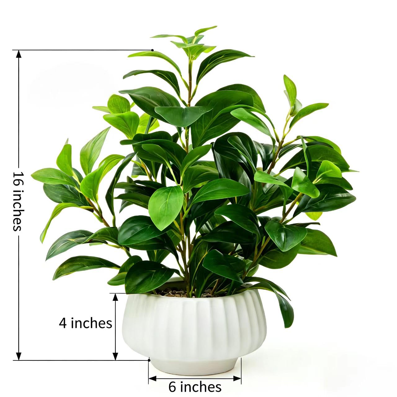 Ewtogift Artificial Peperomia Plant 16.5” Tall Lifelike Faux Greenery in 6” White Ribbed Ceramic Pot Realistic Indoor Fake Branches for Home Office Desk Shelf Bathroom Bedroom Farmhouse Decor