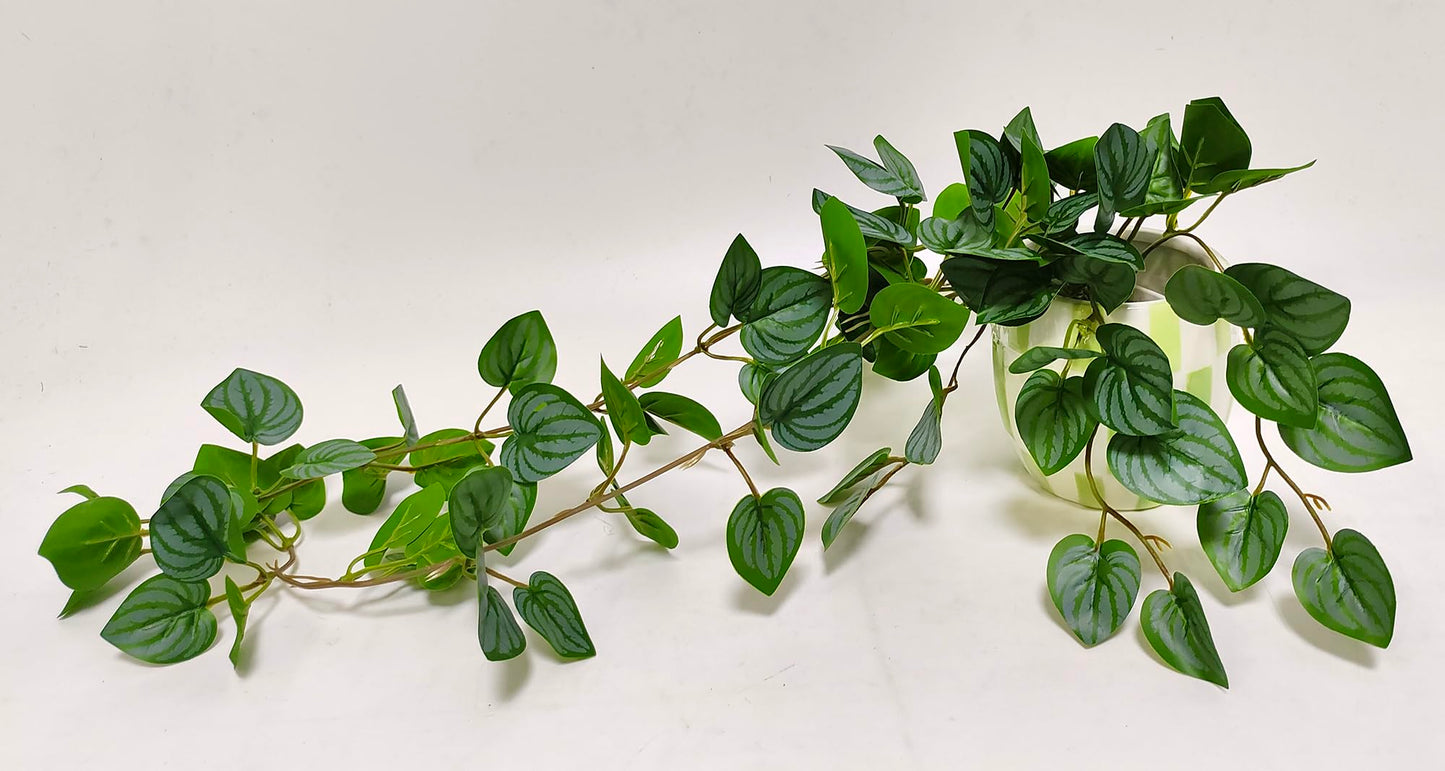 Kiko Artificial Plant Trailing with Pot 16.5" (42cm) Long Fake Table Plant for Office, Gymnasium Room, Living Room, Dinner Room, and Home Decoration, Artificial Plant for Indoors.