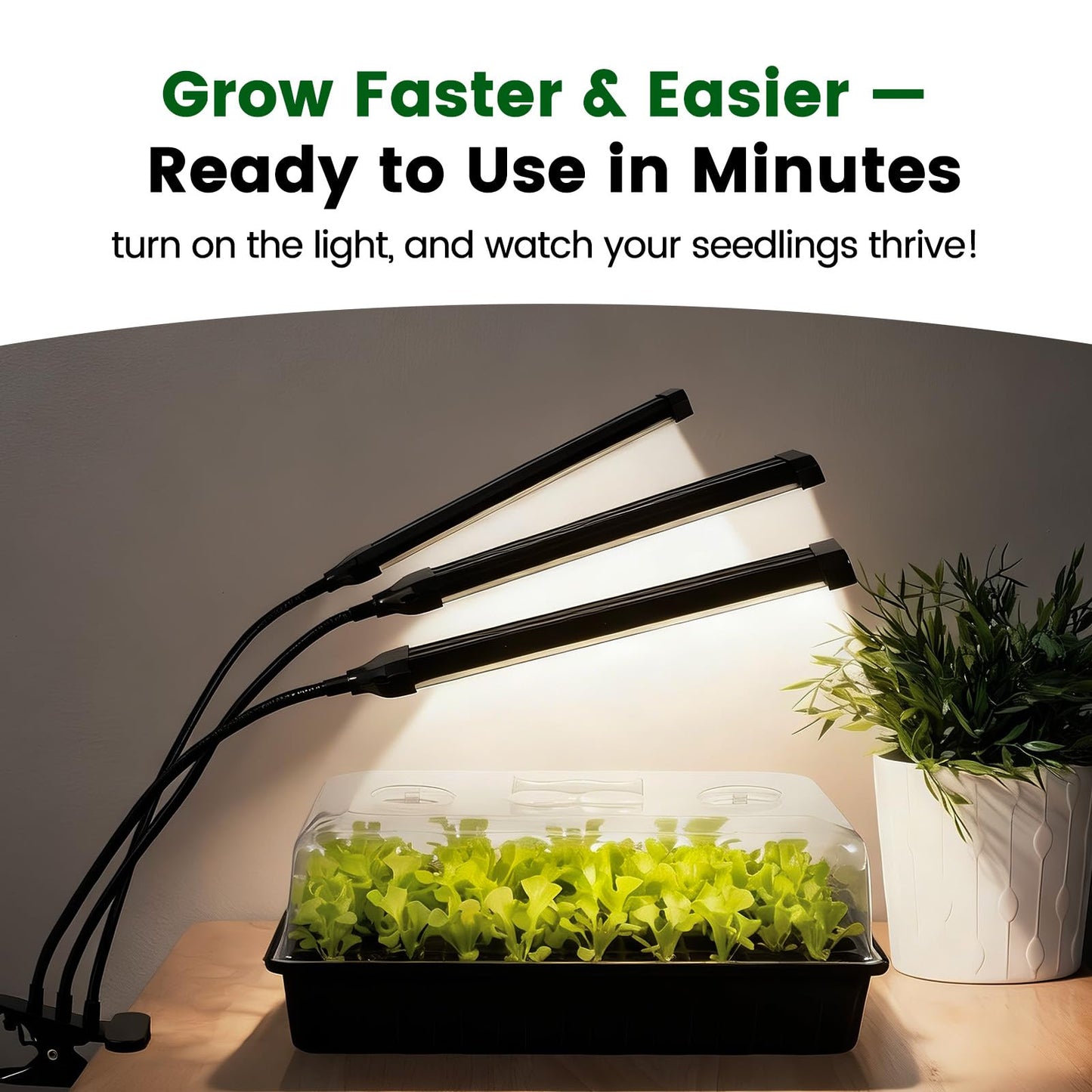 SOLIGT 60 Cell Seed Starter Trays with Grow Light, Seed Starter Kit with 4.3“ Higher Humidity Domes, Full Spectrum Seedling Light with 8/12/18H Timer for Seed Starting, Seedling Growing