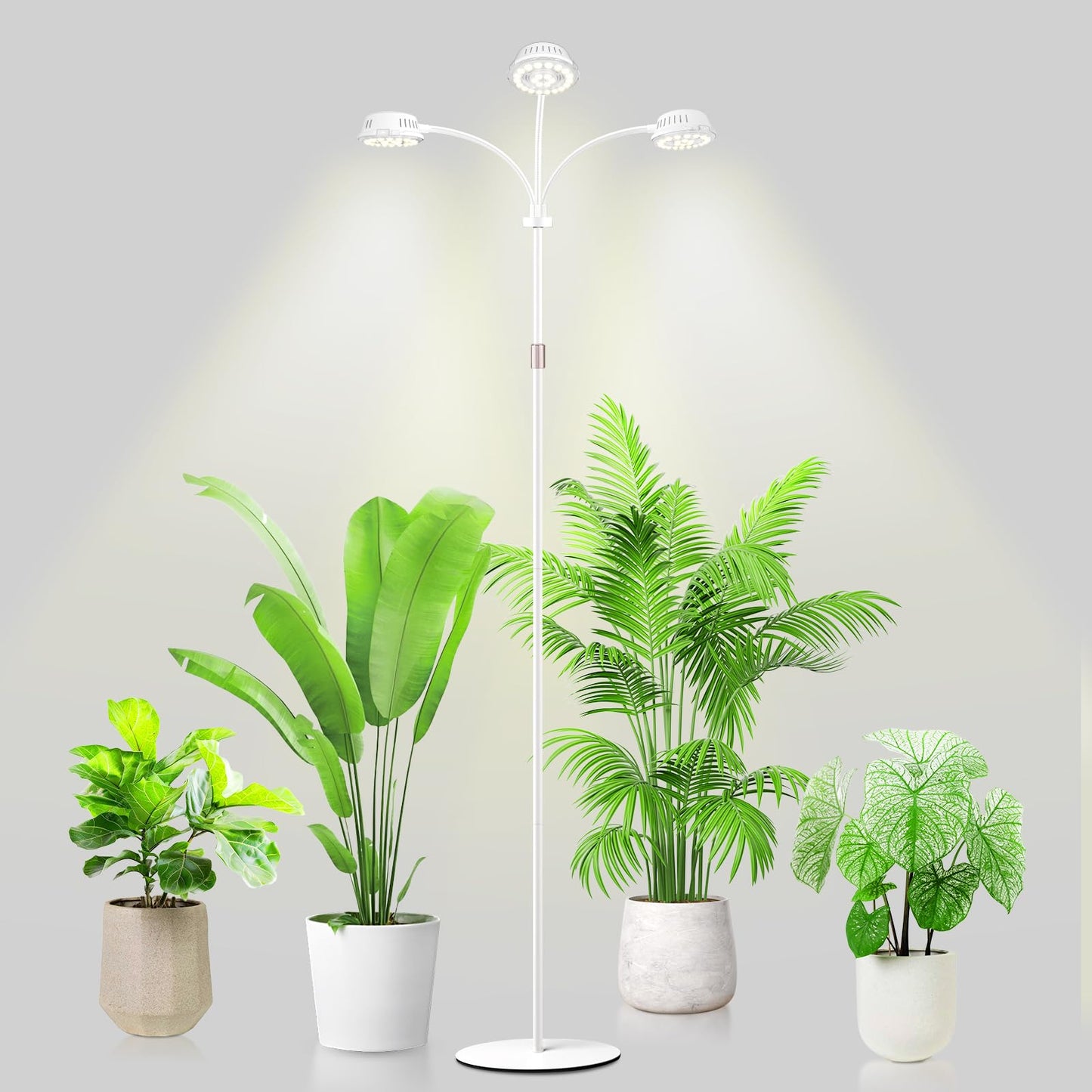 LORDEM Full Spectrum Plant Light for Indoor Growing,Tri-Head Grow Light with Stand for Large Plants,Auto ON/Off Timer 6/8/12/16H, 5 Dimmable Levels, 20-70 inches Adjustable Height