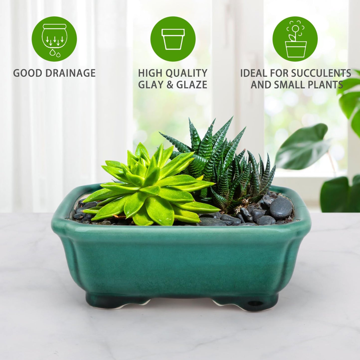 Set of 2 Zisha White Clay Bonsai Pot Glazed Shallow Succulent Planter Green