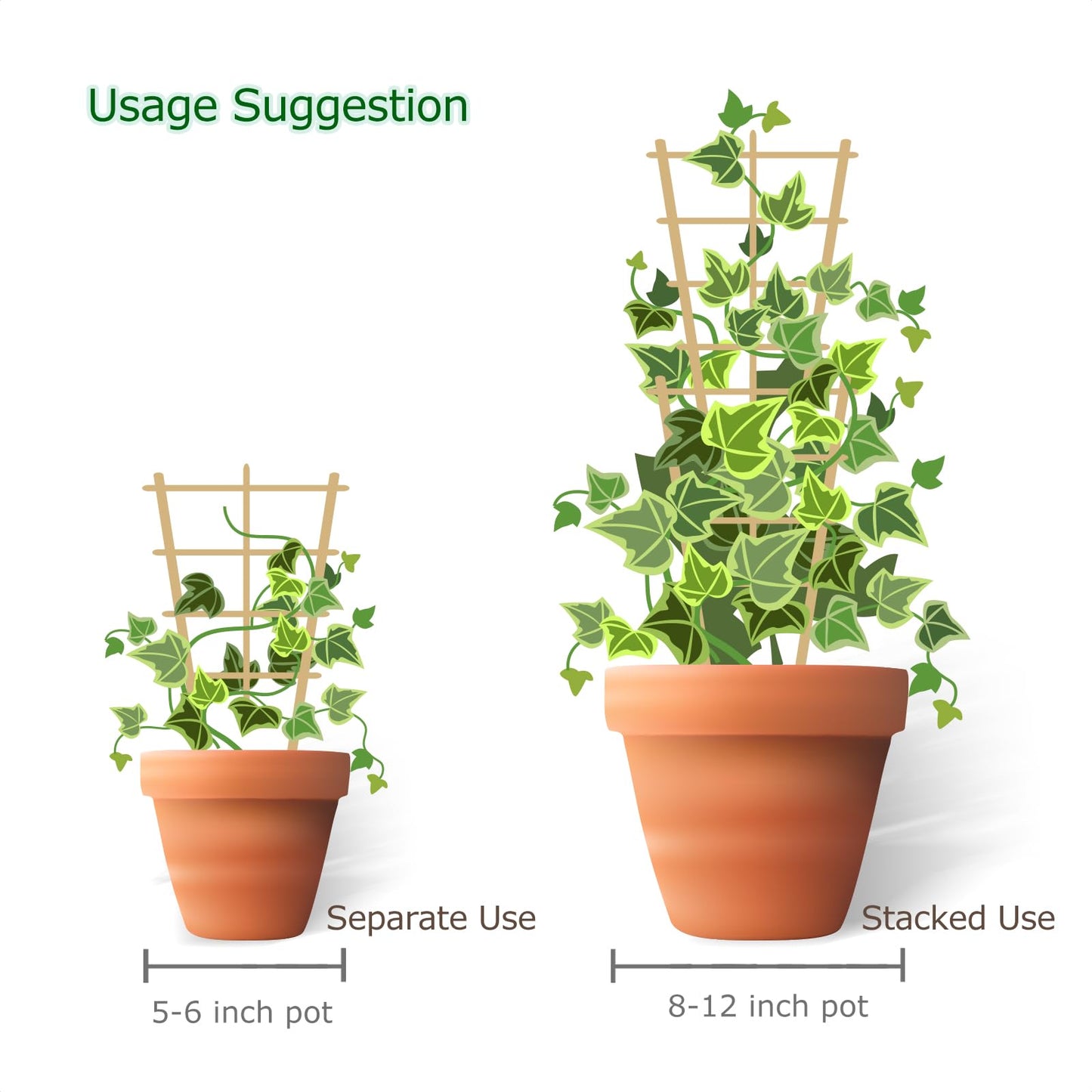 Cambaverd Plant Trellis Indoor, 3 Pack Bamboo Trellises, 16in Fan-Shaped Trellis for Potted Plants Climbing Plants Hoya Vine Ivy