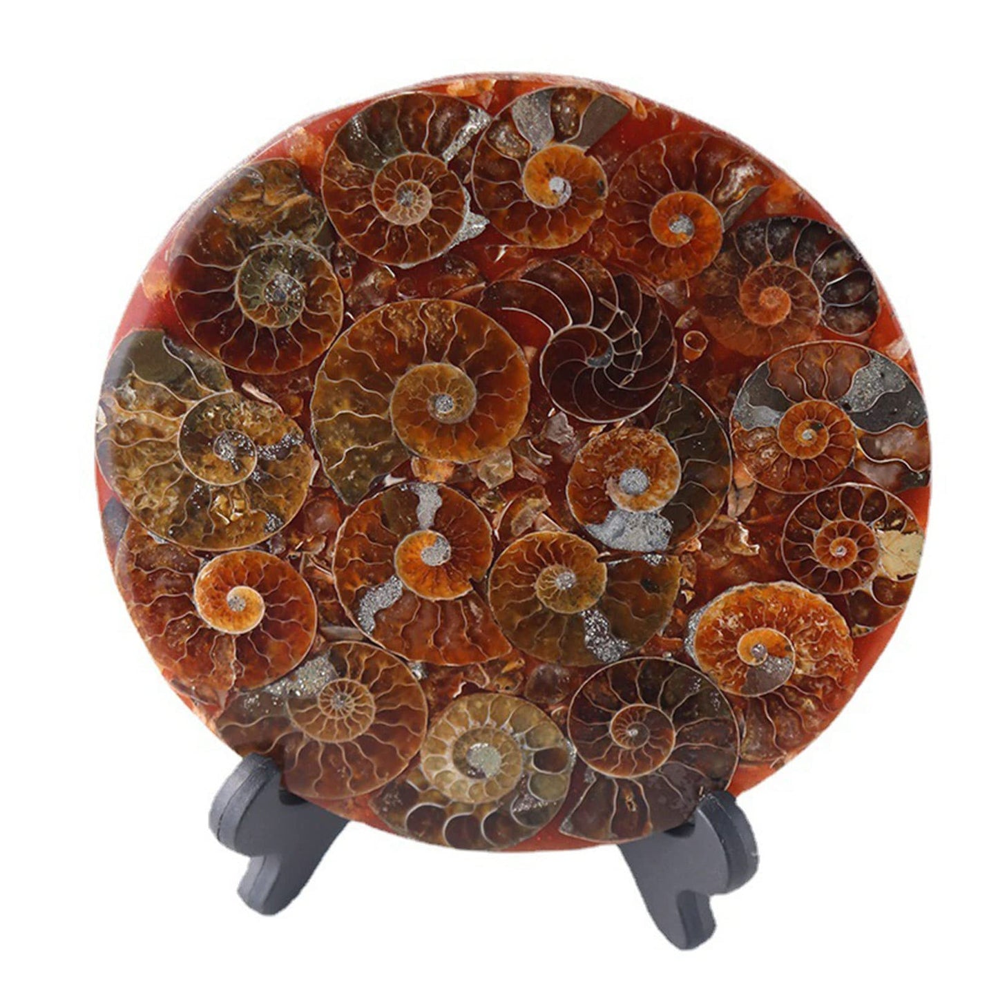 ZHDECOR Natural 11cm Natural Ammonite Shell Plate with Shelf, Mineral from Madagascar Circle Disk, Reiki Crystal Healing Stones Decorations