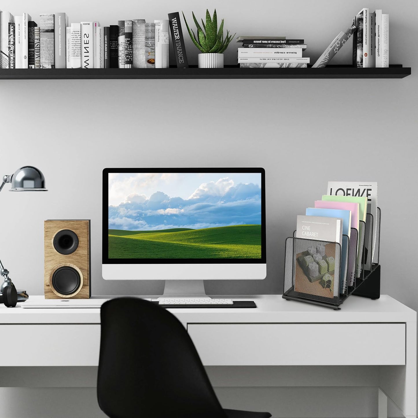 LEKETREE File Organizer for Desk, File Folder Organizer with 5-Section Vertical Rack, Suitable for Home Office Document Organization and Storage(Black)