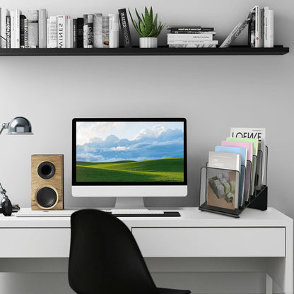 LEKETREE File Organizer for Desk, File Folder Organizer with 5-Section Vertical Rack, Suitable for Home Office Document Organization and Storage(Black)