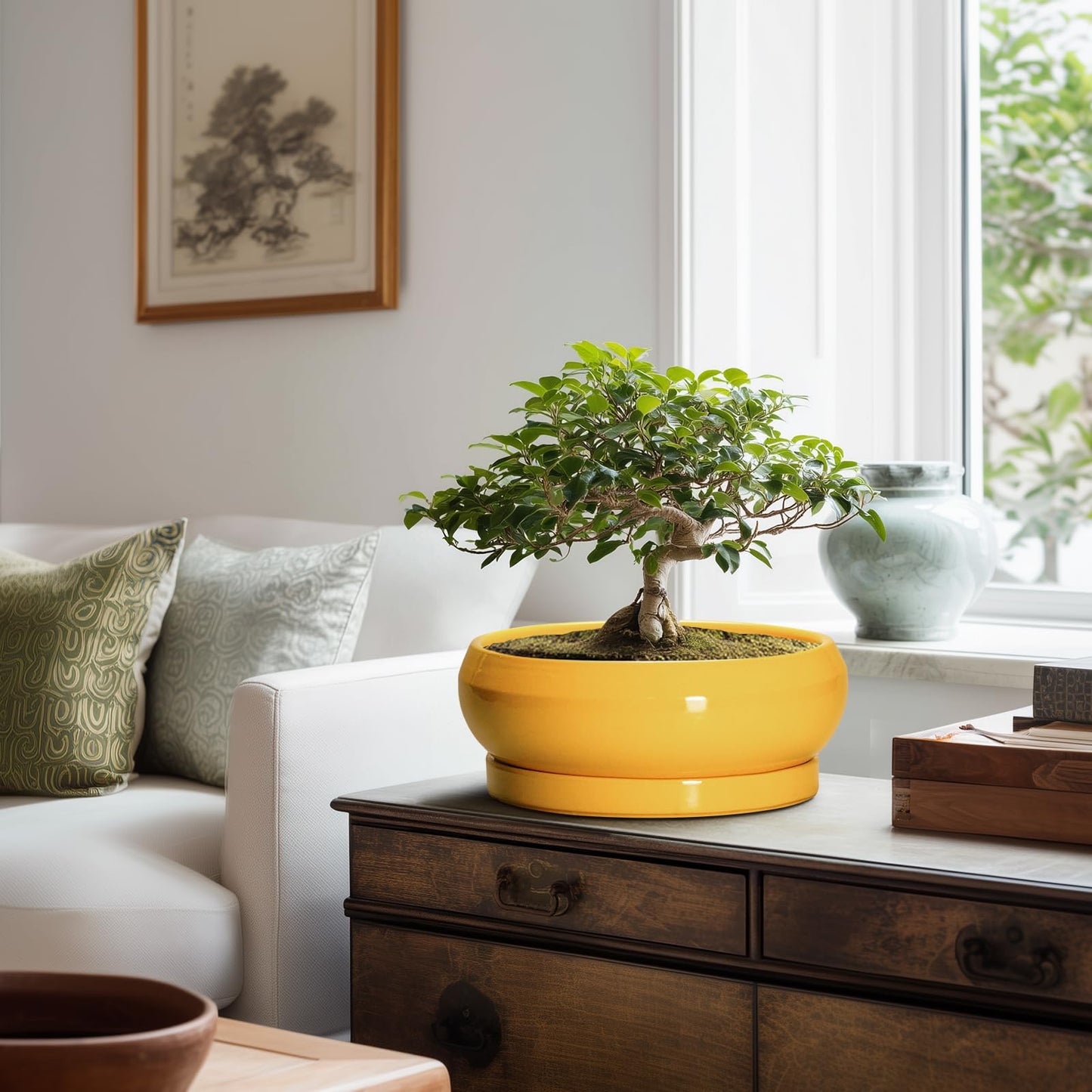 EPFamily Succulent Pots 10 Inch - Ceramic Bonsai Pots with Drainage Hole and Tray, Shallow Plant Pot Indoor Outdoor, Modern Bonsai Tree Pot, Round Planter Bowl, Home Decor, Housewarming Gift, Yellow