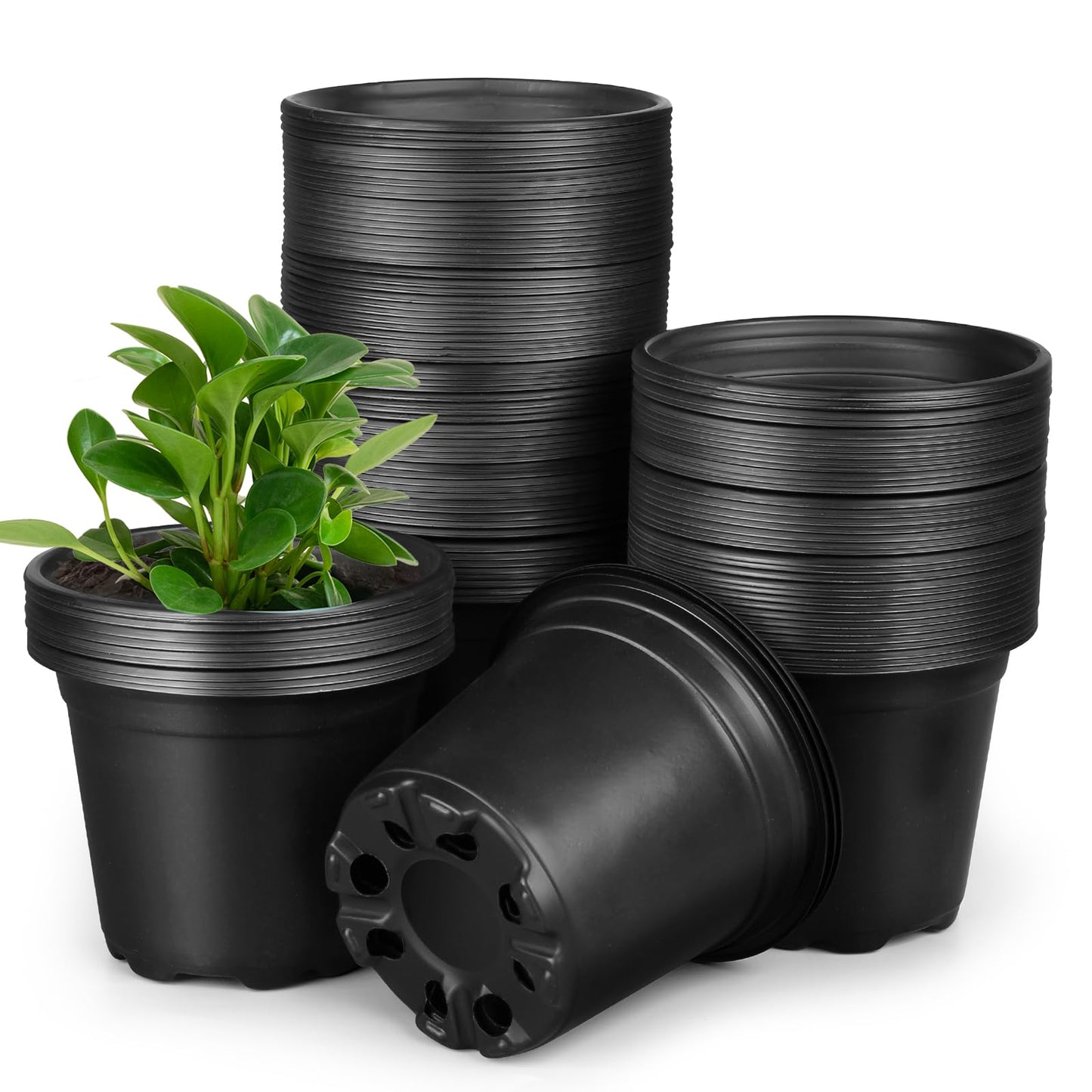 HQAUT 4 5 6 Inch Nursery Pots, 110 Packs Plastic Plant Pot with Drainage Hole, Seedling Starter Pots for Succulents (4 Inch)