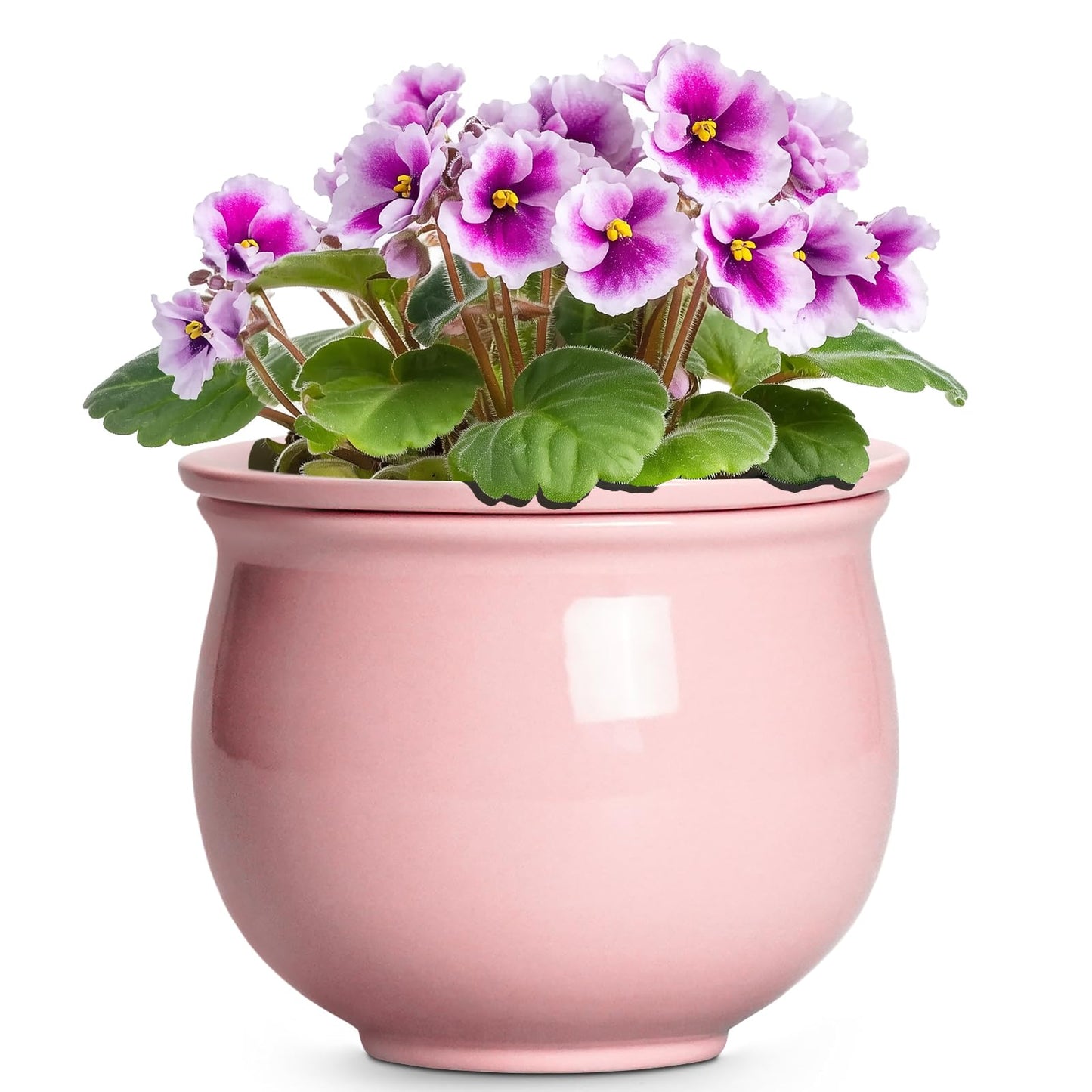 Teagas African Violet Pots, 6 Inch Ceramic Easy Self Watering Pots with Absorbent Inner Pot, Round Ceramic Planter for Indoor Plants, Small Flower Pot, Home Decor, Gifts for Plant Lovers, Pink