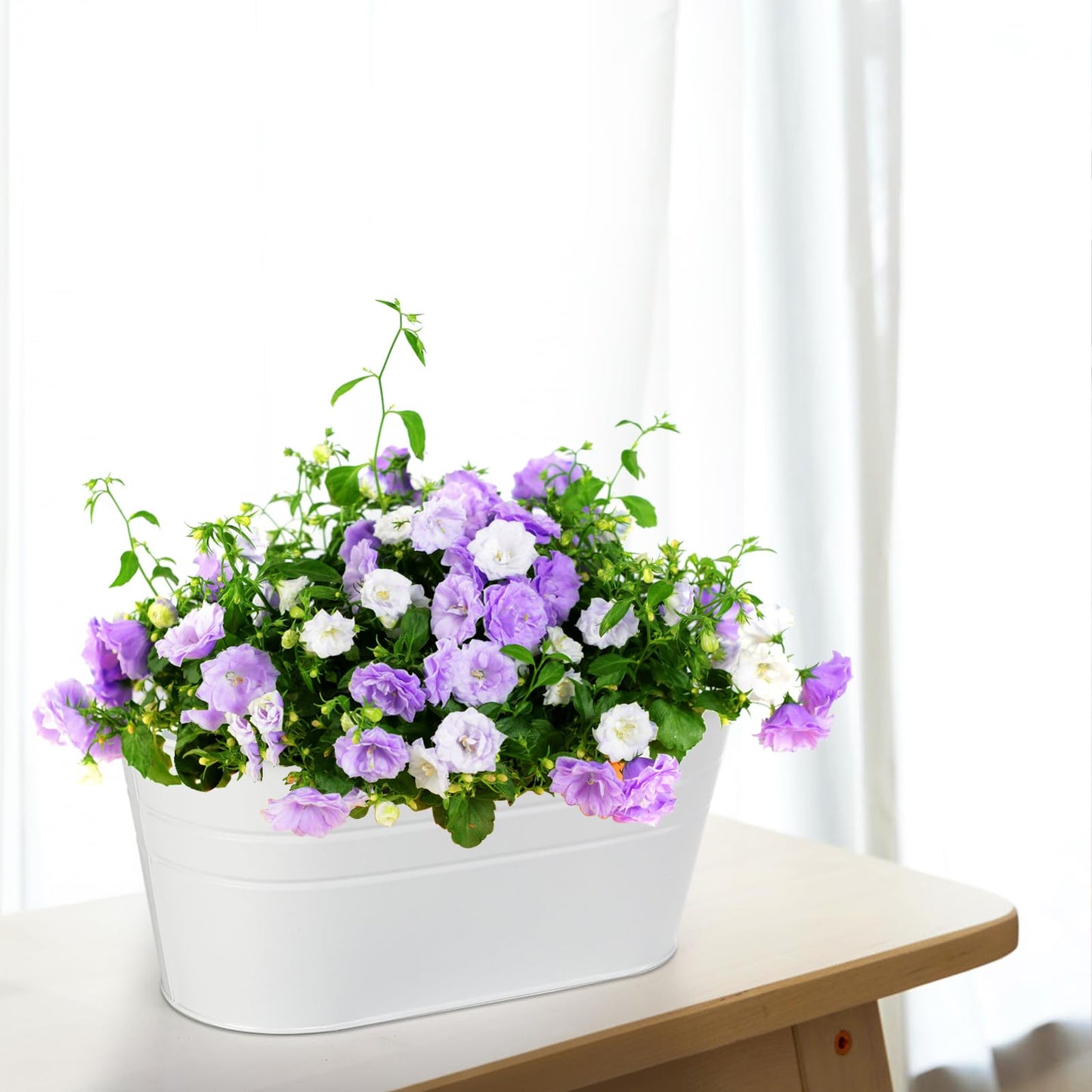 Foraineam 4 Pack Hanging Flower Pots, Metal Iron Plant Pot Holders, Large Fence Railing Balcony Garden Hanging Bucket Planters with Detachable Hooks for Indoor and Outdoor Decor