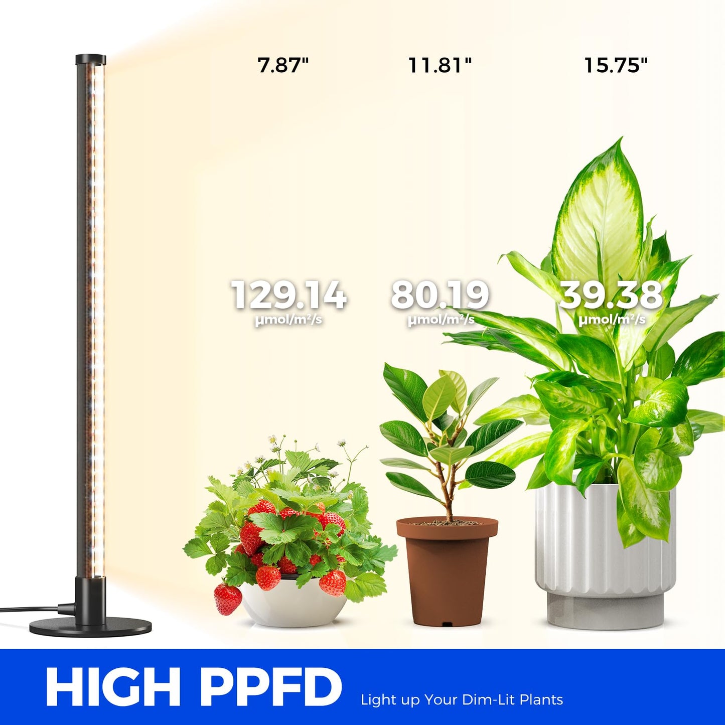 Barrina Standing Grow Light for Indoor Plants, 20W 2FT Desk LED Plant Light, Hanging and Standing, Table Top Full Spectrum Vertical Grow Lights with Stand and On/Off Switch, Ideal for Plants Growth