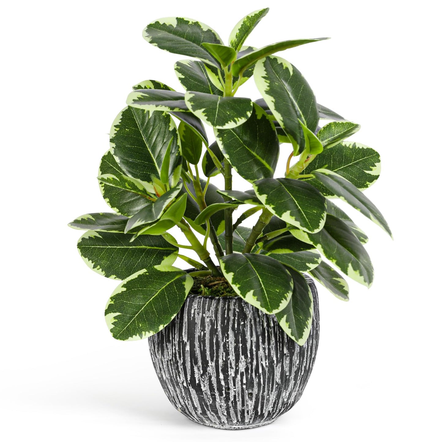 Artificial Plants Indoor Outdoor, Faux Variegated Oak Leaf Plant, Fake Potted Plants Artificial Decor for Coffee Table Desk Shelf, Faux Plants Indoor for Living Room Bathroom Bedroom Entryway Office