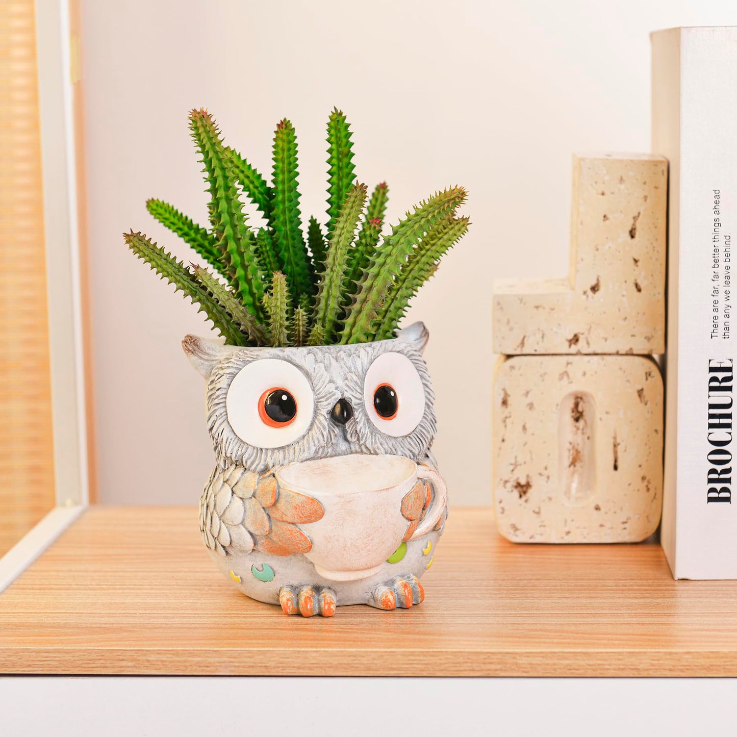Saysmile Unique Owl Plant Pots Indoor, Cute Small Succulent Pots with Drainage Hole, Watering Owl Planters for Indoor Outdoor Plants, Resin Flower Pot for String of Pearls, Gift Ideas for Mother