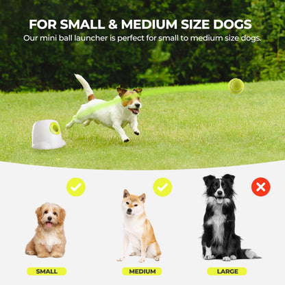 ALL FOR PAWS Automatic Dog Ball Launcher, Interactive Dog Tennis Ball Thrower, Interactive Puppy Pet Fetch Toy, Mini Dog Ball Throwing Machine for Small and Medium Dogs, Includes 3pcs 2" Tennis Balls