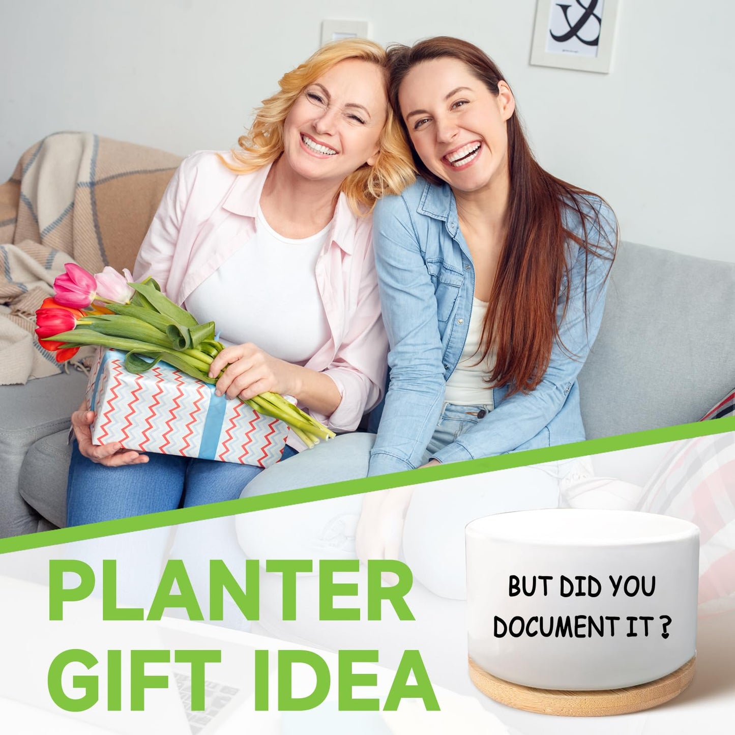 Office Desk Shelf Decor, Succulent Plant Pot, Ceramic Flower Cactus Planter Office Accessories Gifts for Coworker Employee Colleague Women Men Friend, But Did You Document It (Plants Not Included)
