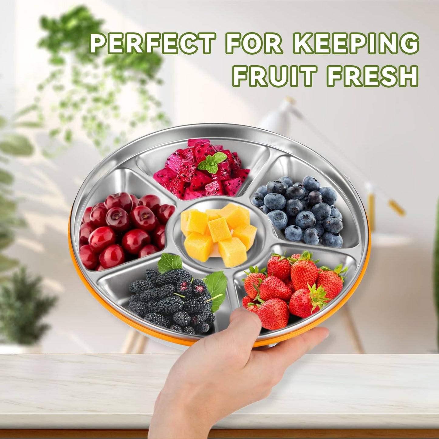 Motith 6-Compartment Stainless Steel Serving Tray with Lid - 10-inch Divided Snack/Vegetable/Fruit Tray for Christmas Parties, Snackle Box & Platter Container