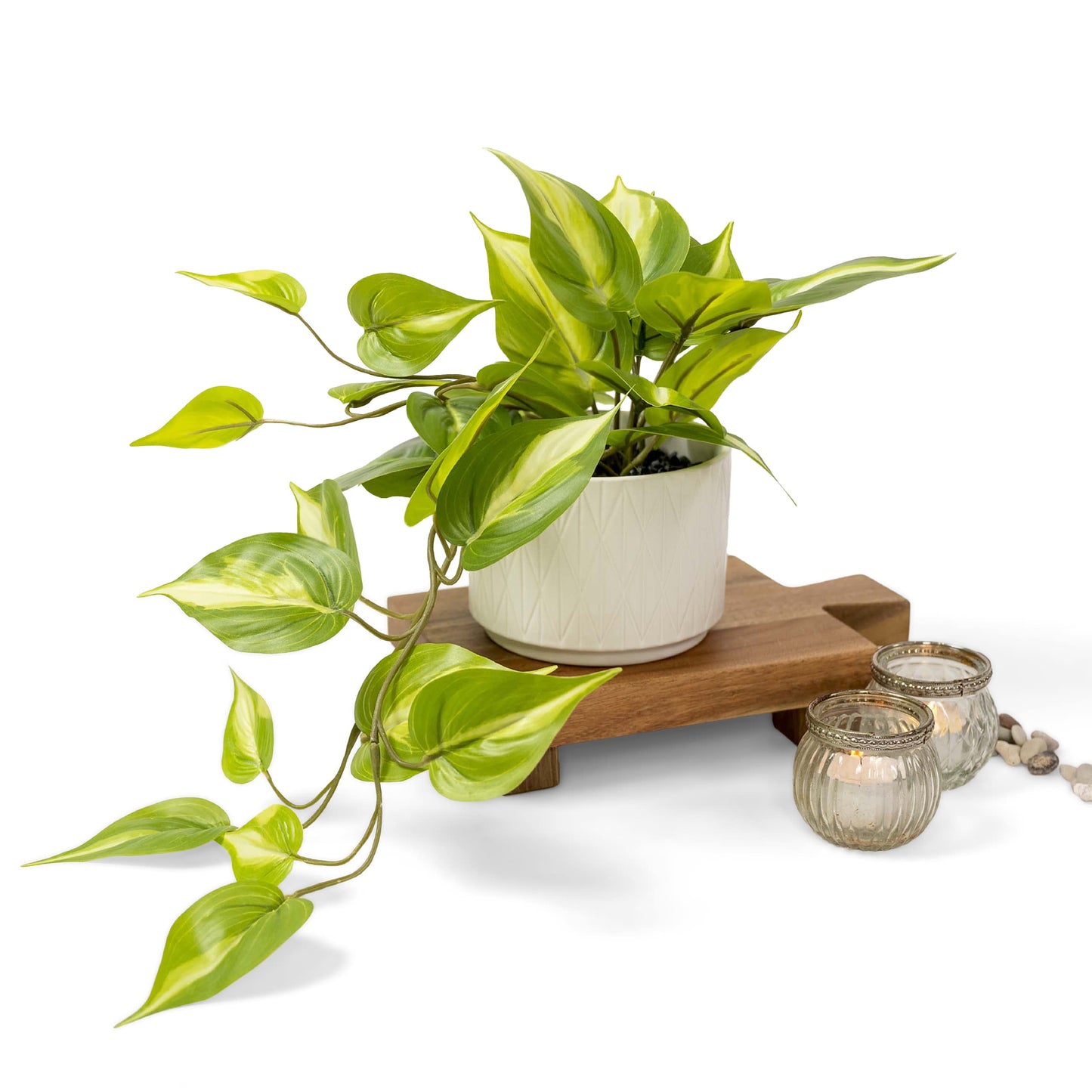 Kurrajong Farmhouse Light Green Fake pothos Plant | Fake Plant for Shelf Decor | Artificial Trailing Ivy Plant with 5" Wide Ceramic Pot | Faux pothos | Feaux Pothos