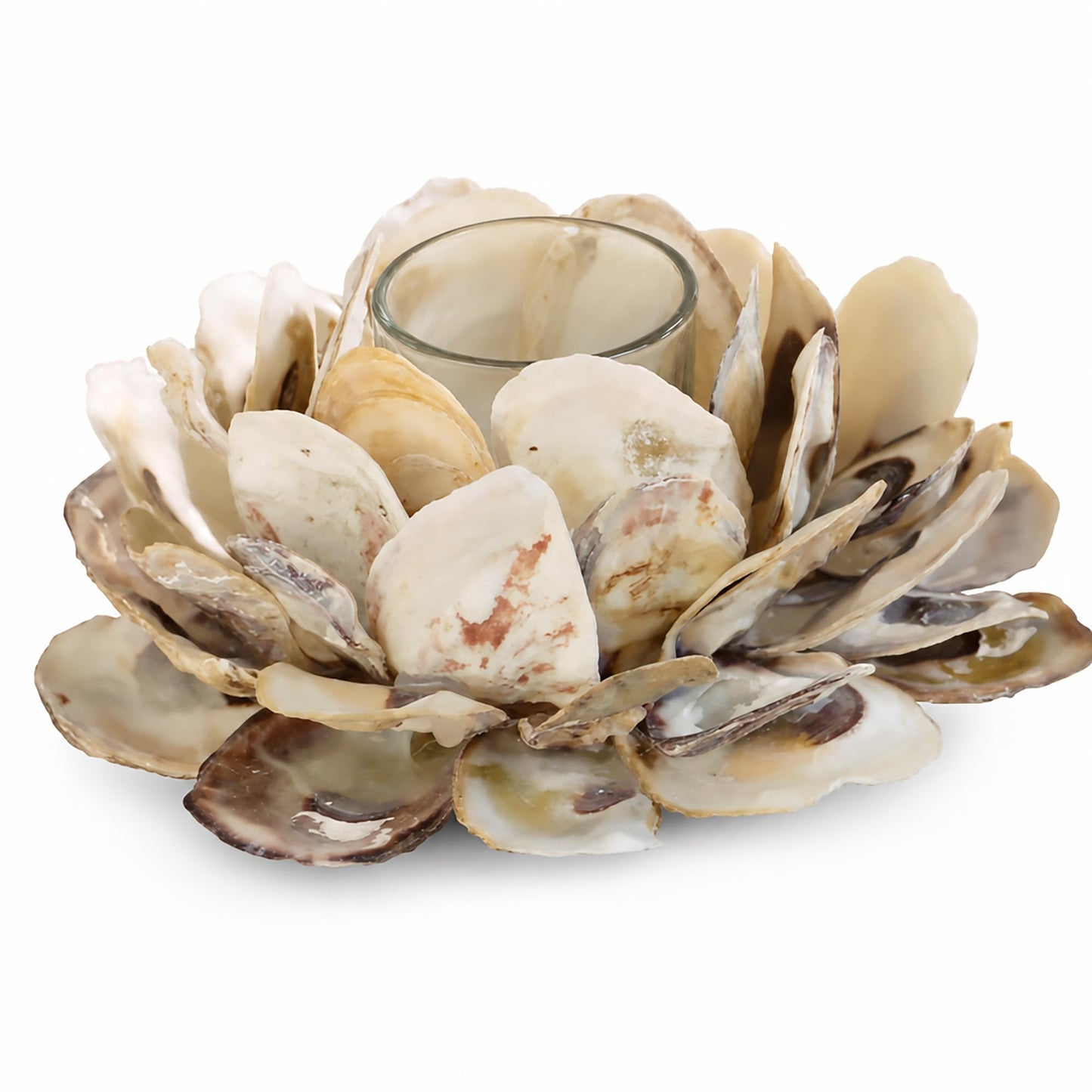 Mud Pie 498B002 Oyster Shell Votive Holder 3 1/4" x 7"