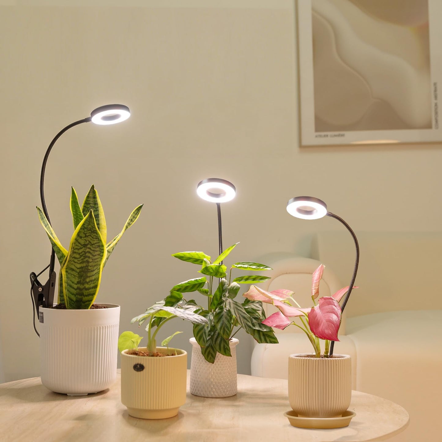 LORDEM Indoor Plant Grow Lights with 6/8/12/16H Auto Timer, 3 Spectrum Modes, Full Spectrum LED, Adjustable Height, for Small Plants, 1Pack Black