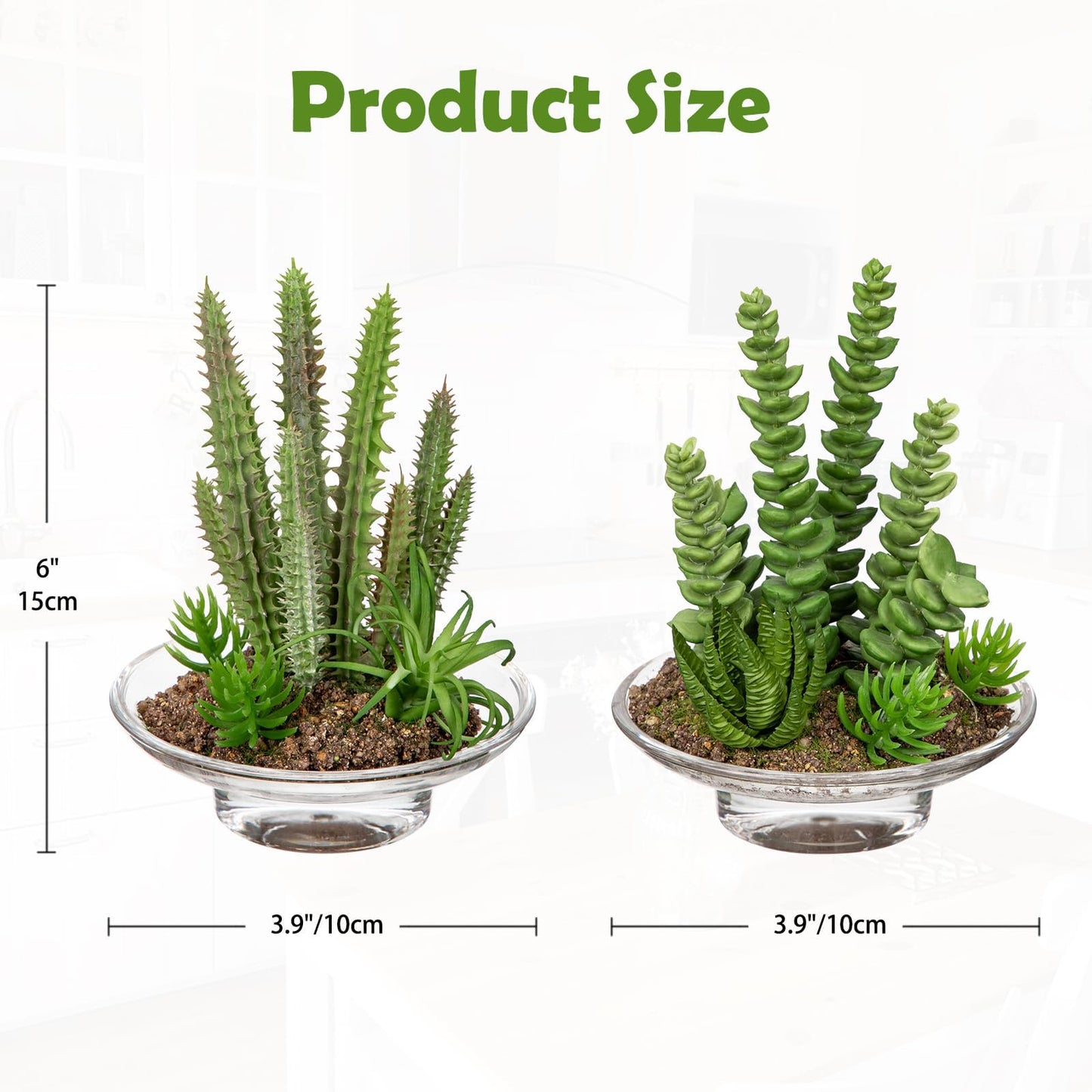 Set of 2 Succulents Plants Artificial cactus in Glass Pot with Realistic Featuring Sand Moss, Small Fake Succulents Plants Faux Plants Indoor for Home Office Desk Bathroom Shelf Living Room Decor