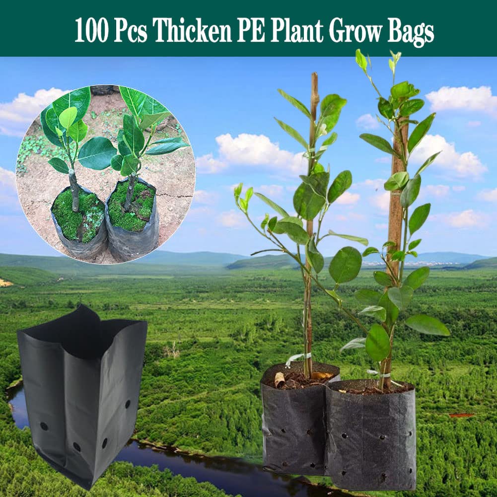 DredQcco 100PACK Plant Grow Bags,Thicken PE Seedling Bag Fruit Tree Seedling Cup Bonsai Planting Bag with Breathable Holes for Garden Black Planting Bags Nursery Bags (4.7'' Dia x 8'' H)