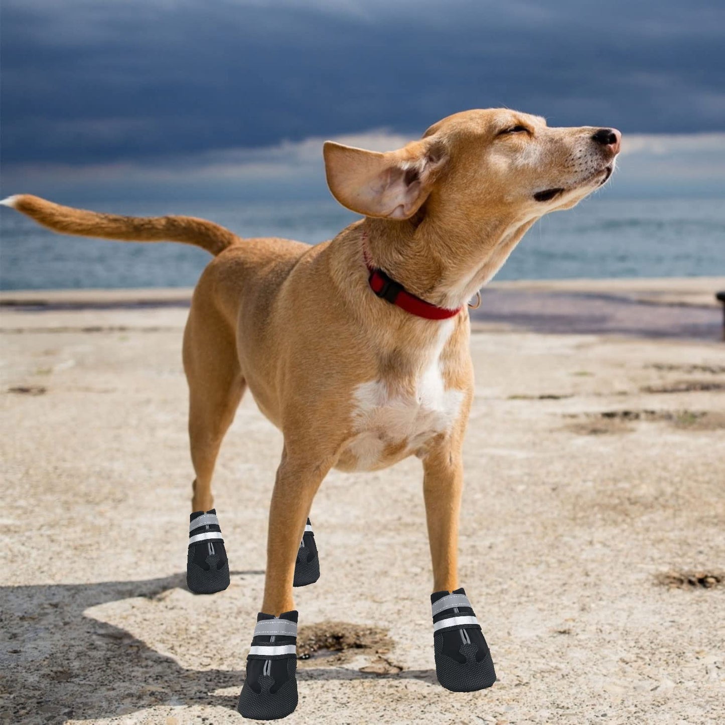 Dricar Dog Shoes, Set of 4 Dog Boots for Injured Paws, Waterproof Anti Slip Dog Shoes for Walking, Paw Protectors with Reflective Straps for Medium Large Dog (L, Black)