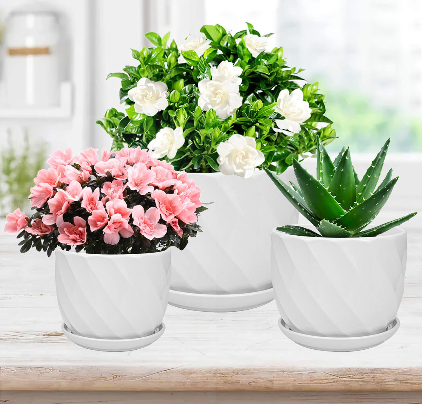 Foraineam Set of 3 Round Modern Ceramic Planter Pot Small to Large Sized Garden Flower Plant Pots White Succulent Cactus Containers with Drainage and Saucer