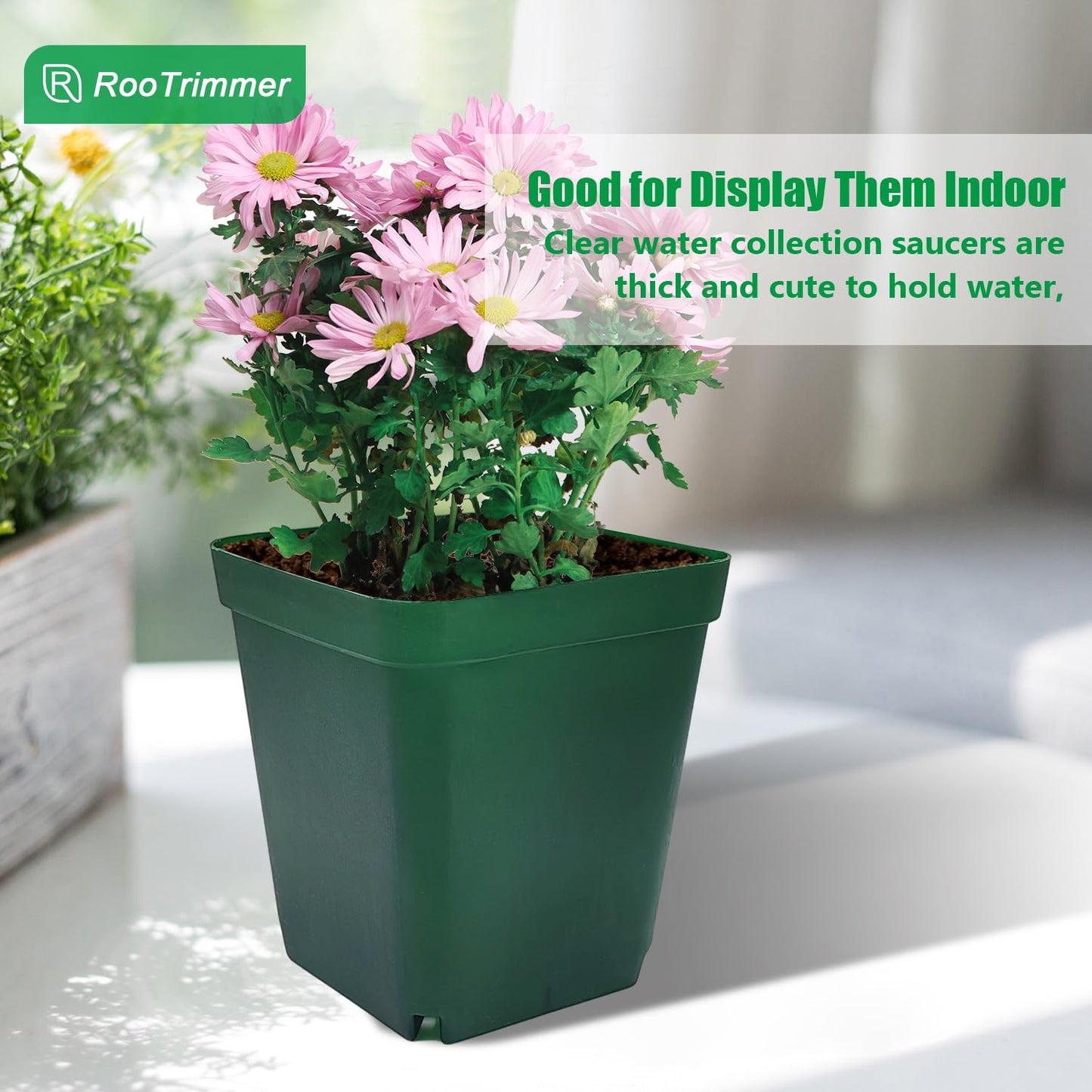 RooTrimmer Square Nursery Succulent Pots 4 Inches 60 Pcs Deep Flower Plant Nursery Seedling Grow Pots Plastic with Drainage (Green, 4Inches, 60Pcs)