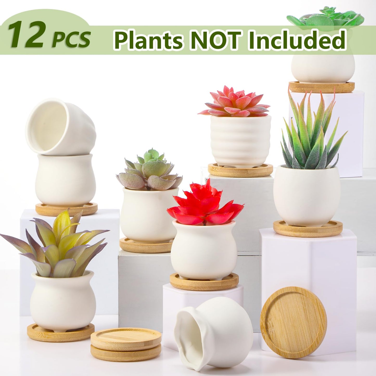 Remerry 12 Pcs 2.5 Inch Mini Succulent Pots with Bamboo Tray White Ceramic Pots Color Your Own DIY Small Planters Containers for Flower Cactus with Drainage Hole for Plant Lover