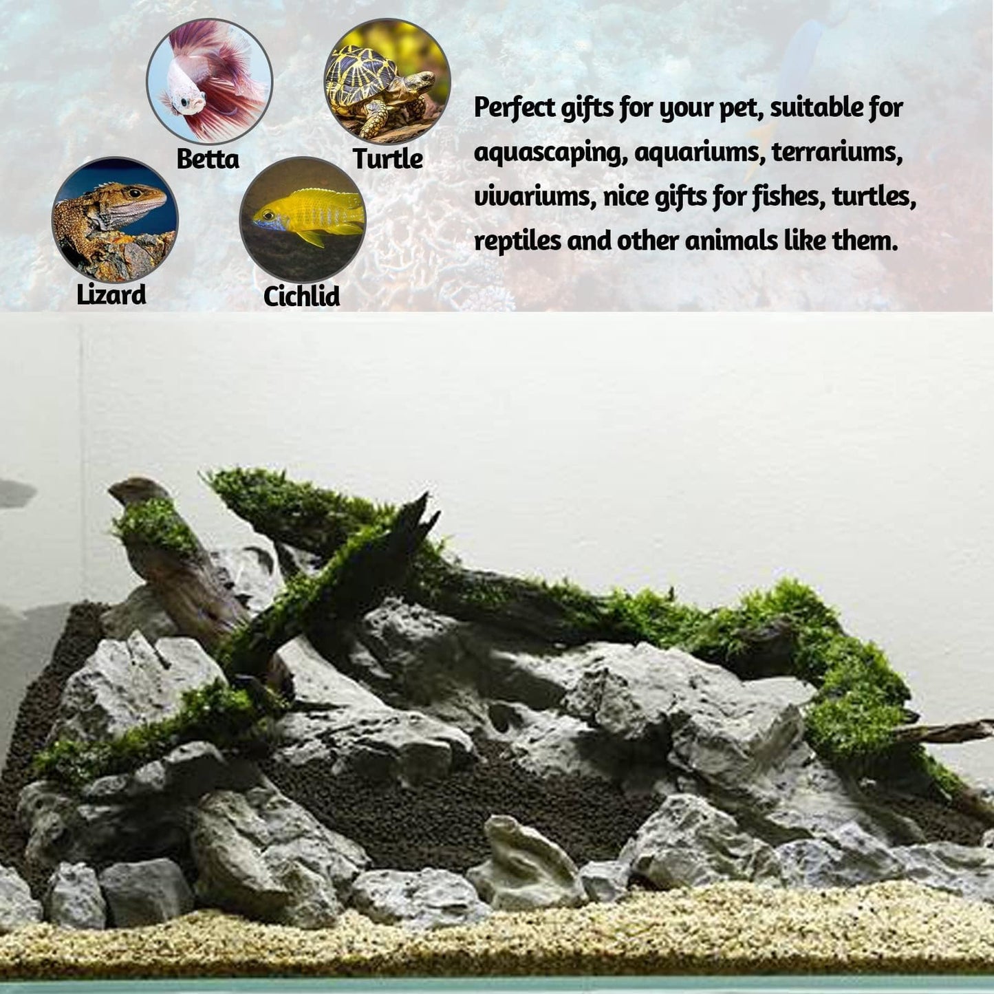 PINVNBY Natural Seiryu Stones, Aquariums Slate Stone Decorative Rocks for Fish Tank, Terrariums, Paludarium, Vivariums, Reptile and Amphibian Enclosures, Aquascaping (4.5lb)