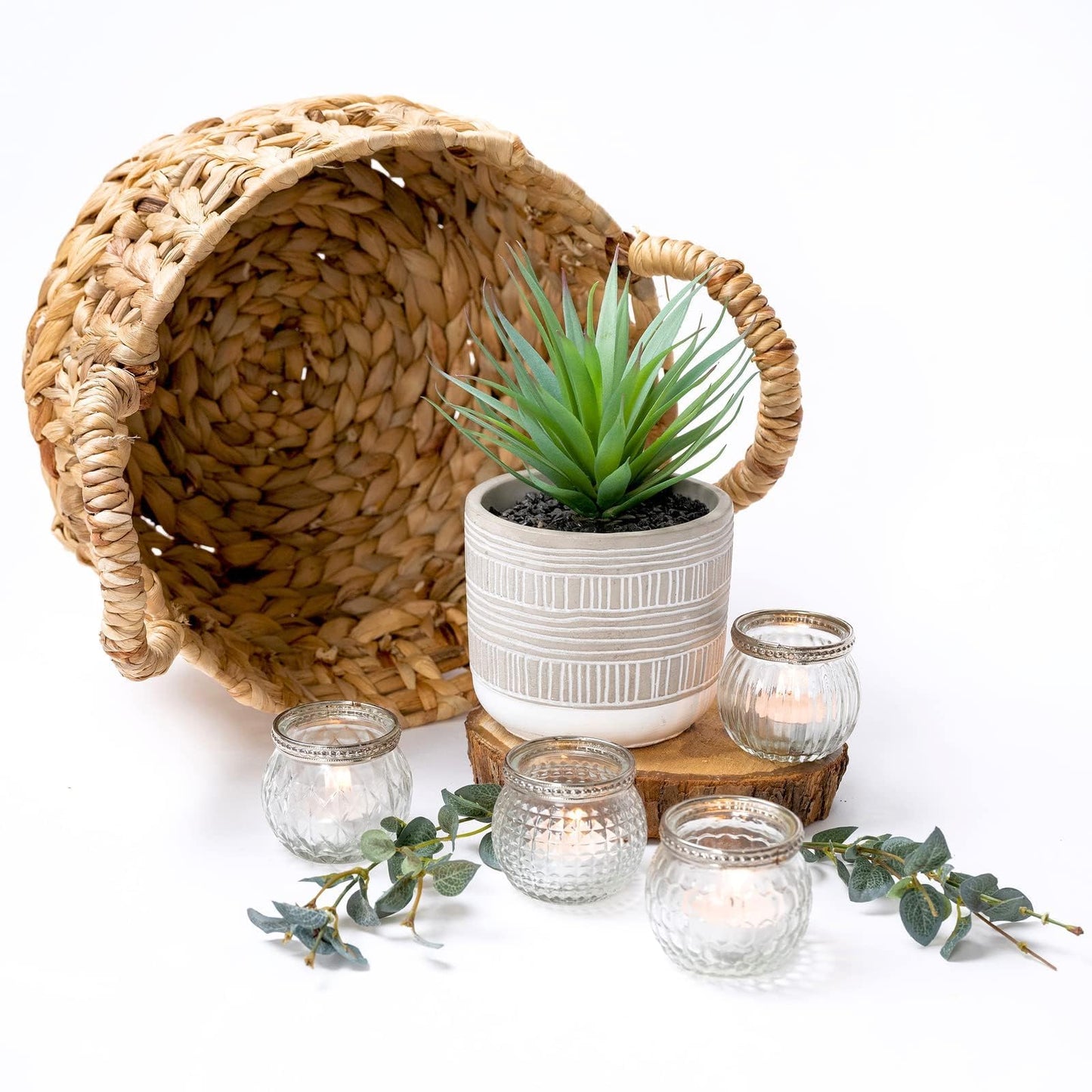Kurrajong Farmhouse Artificial Plant | 8" Fake Plant for Desk Decor | Artificial Succulent in Pot | Fake Succulent | Faux Plant Indoor | Artificial Greenery for Shelf Decor