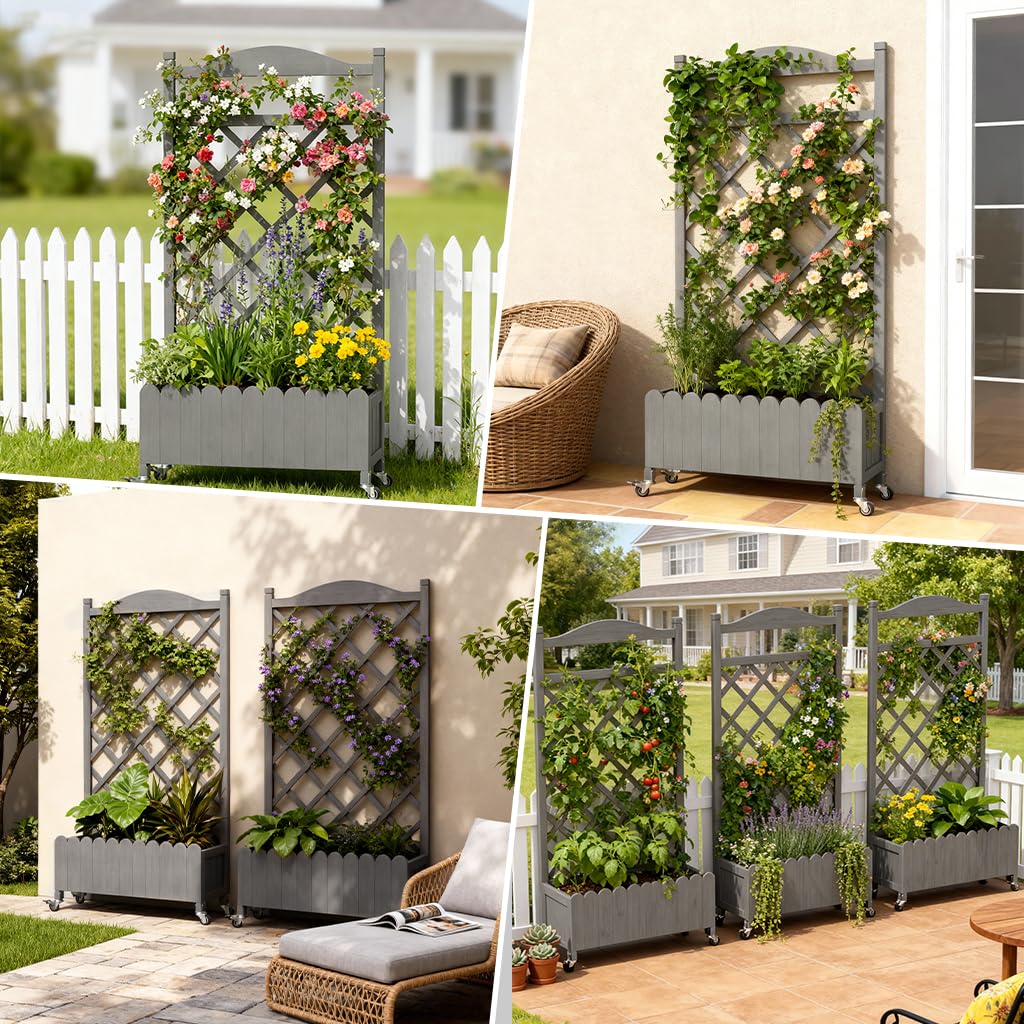COMHOMA 2 Pack Raised Garden Bed with Trellis and Wheels,48Inch Elevated Planter Box with Drainage Holes,Lattice Privacy Screen for Climbing Plants Vegetables,Outdoor for Patio Balcony Yard,Gray