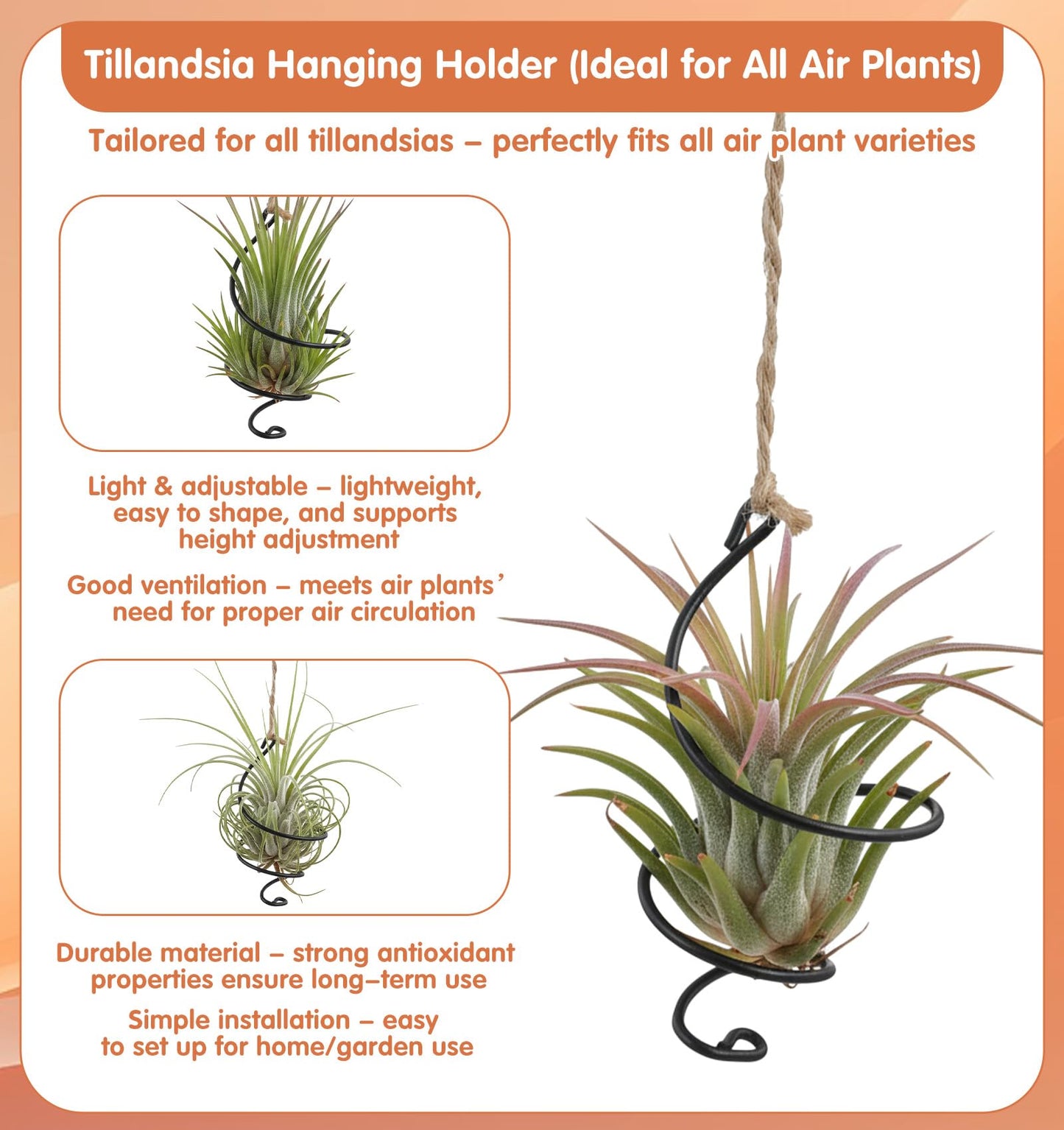 ValueBargain 6Pcs Hanging Air Plant Holder, Air Plant Hanger with Jute Ropes, Soilless Tillandsia Display Stand for Home & Office Decor, Succulent Container