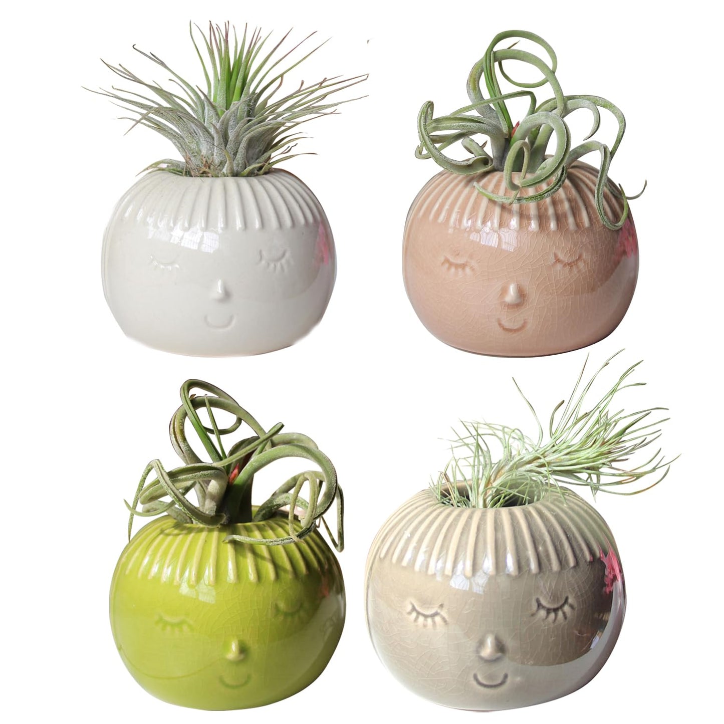 SCSFCVIUS Air Plant Holder Ceramic Planter - 4PCS Porcelain Cute Air Plant Pot Planter Tillandsia Airplants Holders Home Decor (4 Cute Holders)